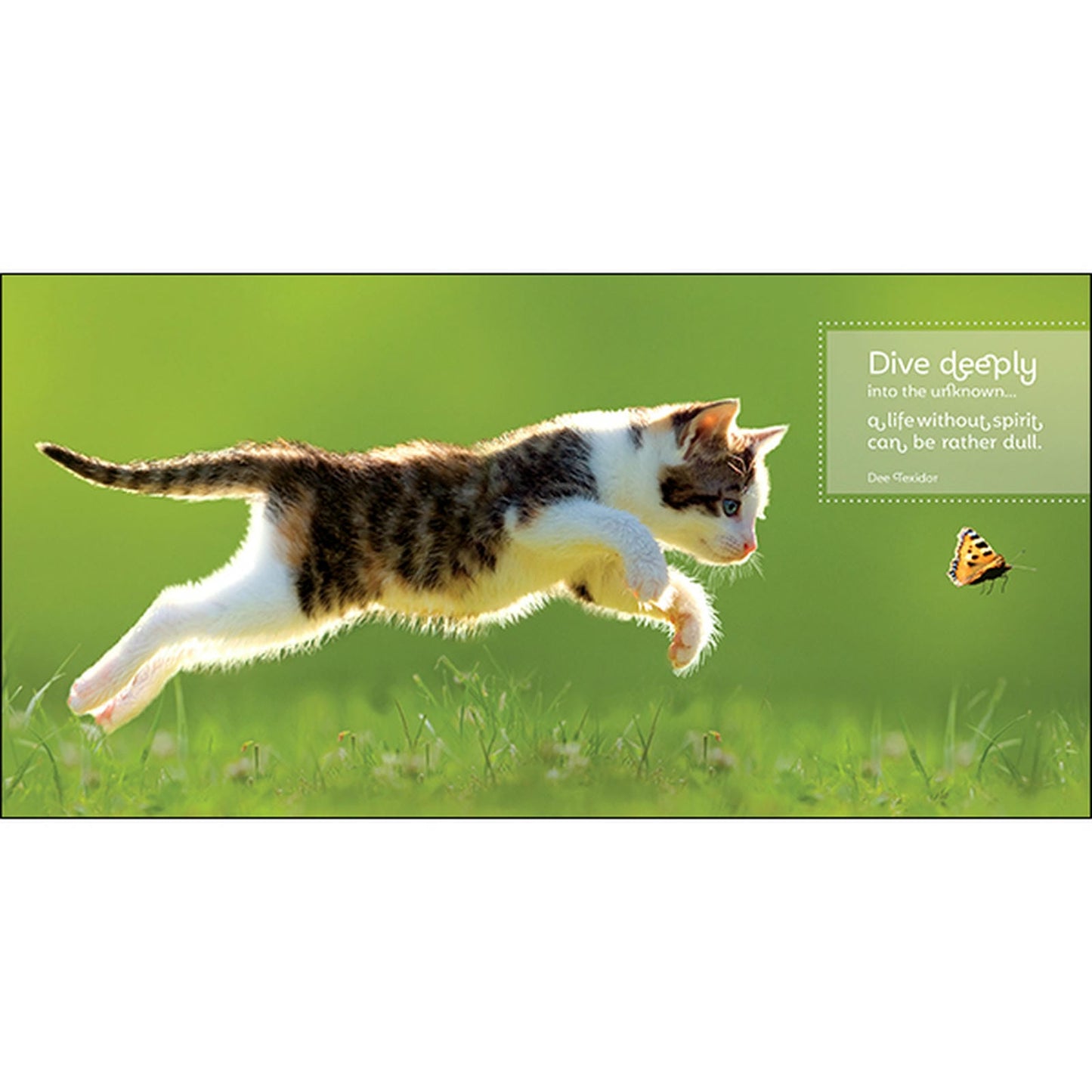 Catitude - Inspirational Book