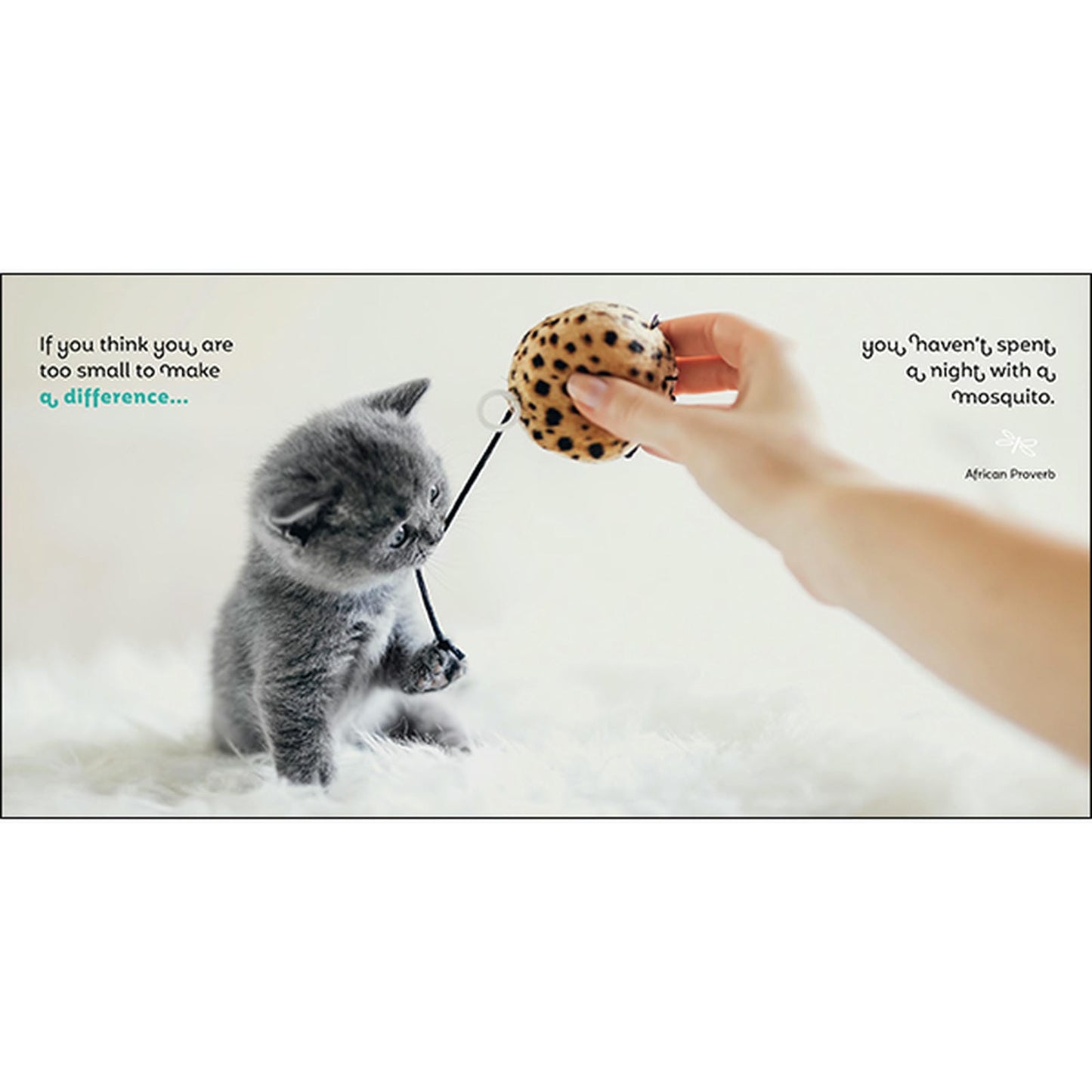 Catitude - Inspirational Book