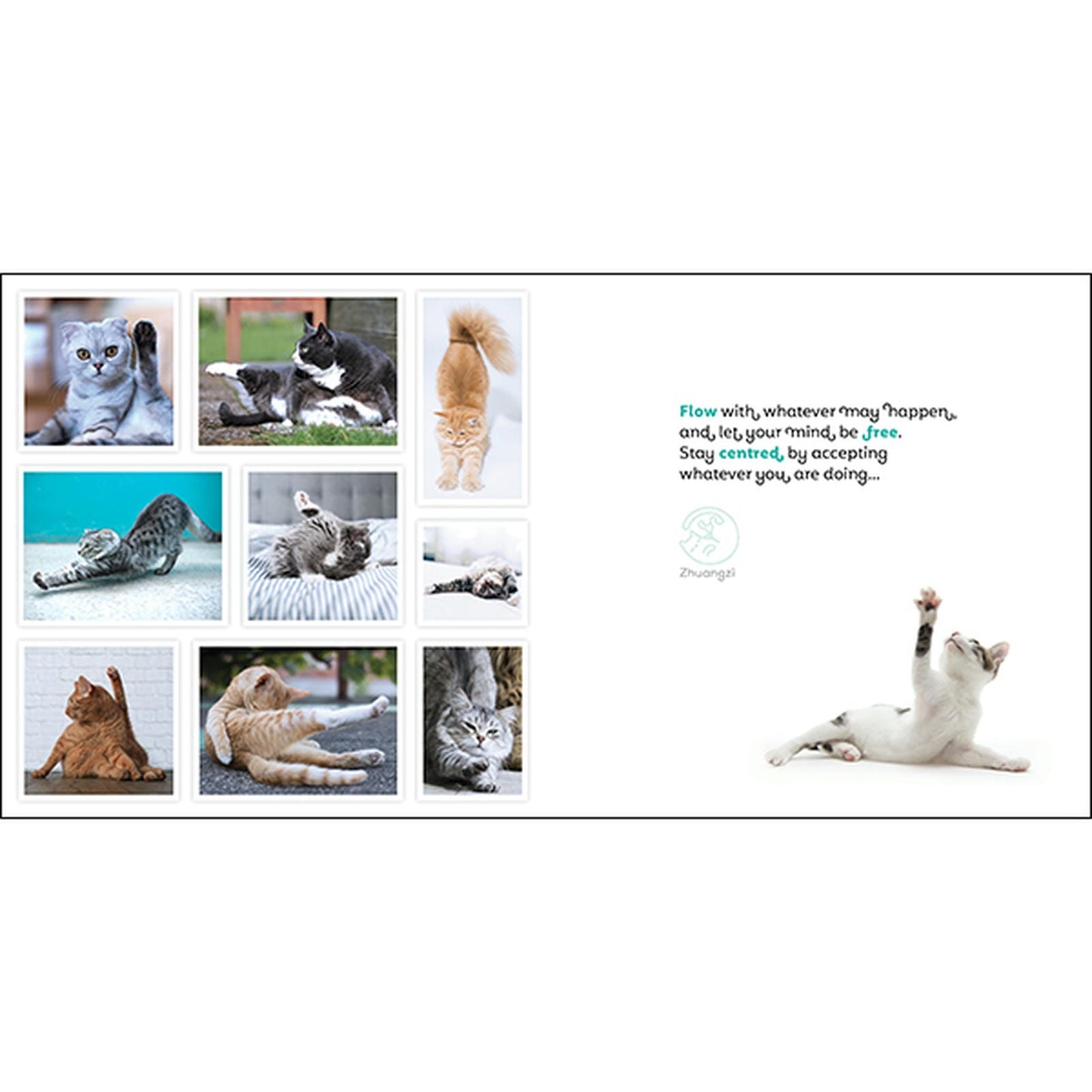 Catitude - Inspirational Book
