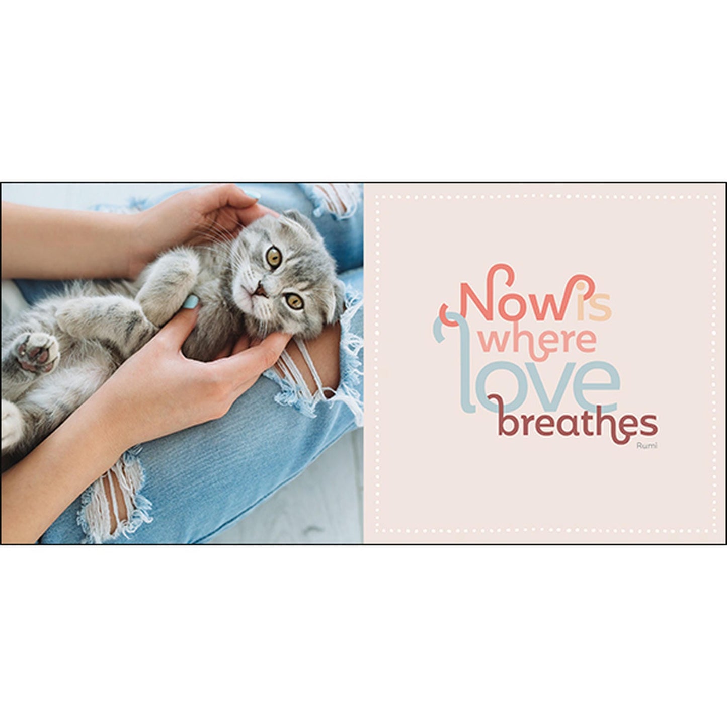 Catitude - Inspirational Book