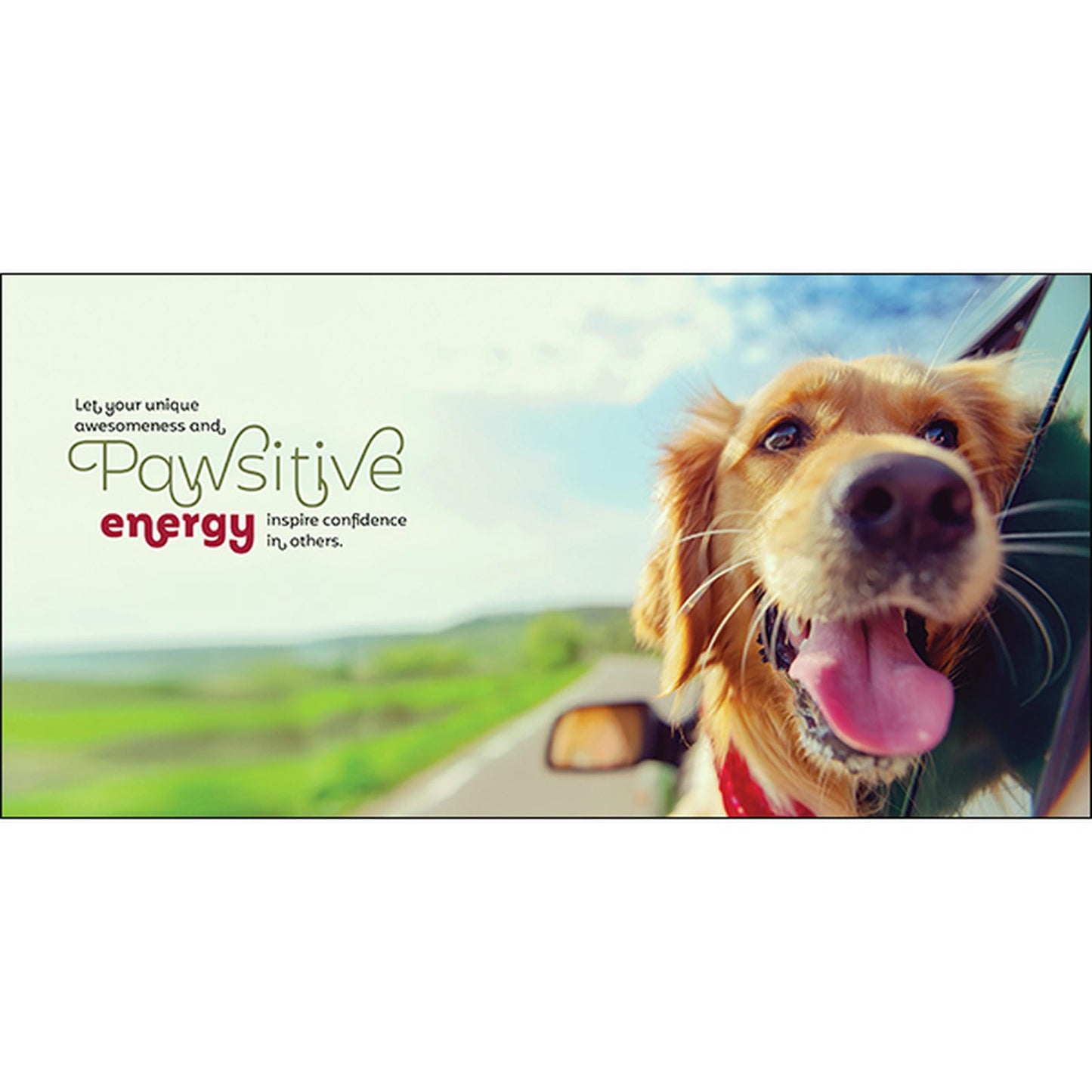 Barkology - Words From The Dogs - Inspirational Book