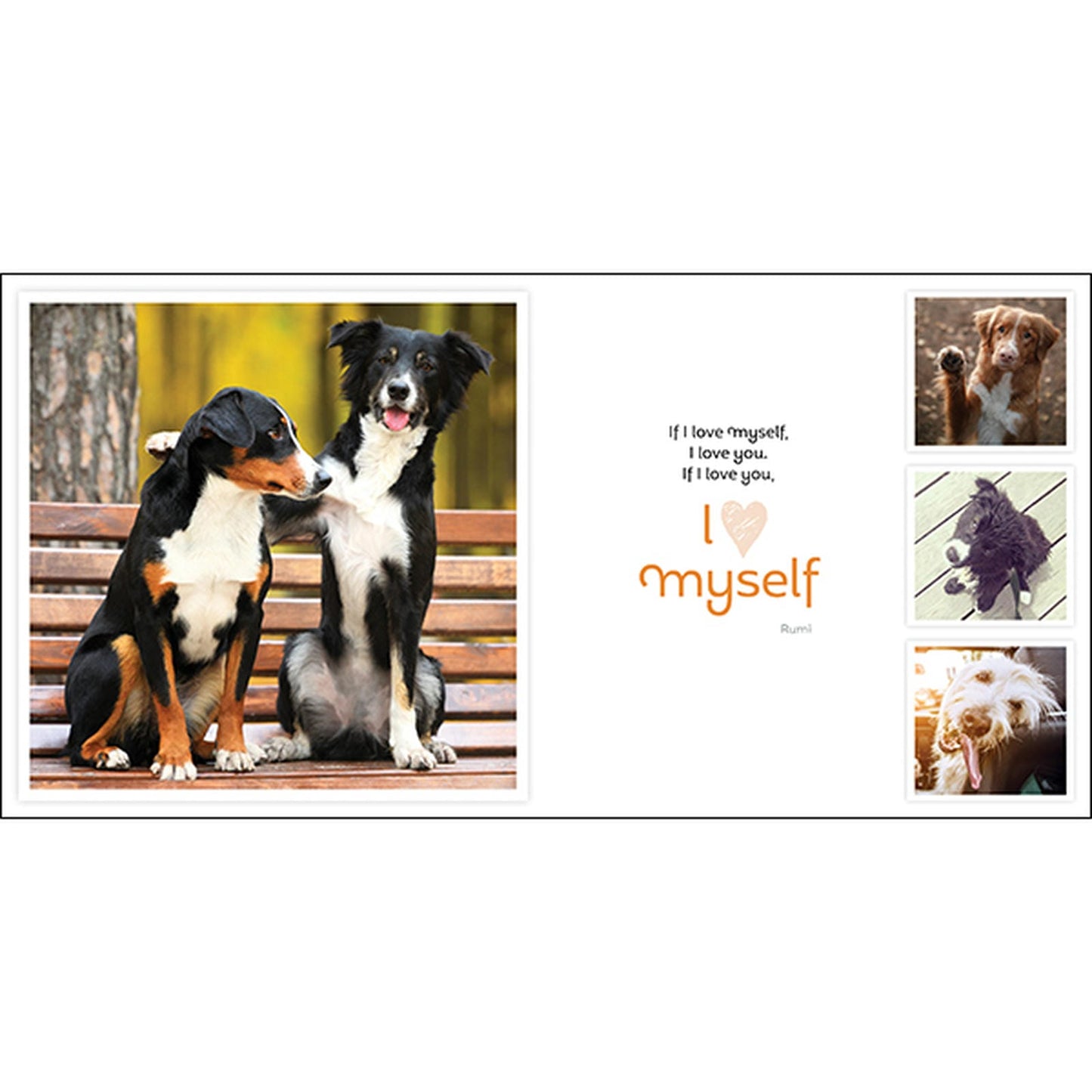 Barkology - Words From The Dogs - Inspirational Book