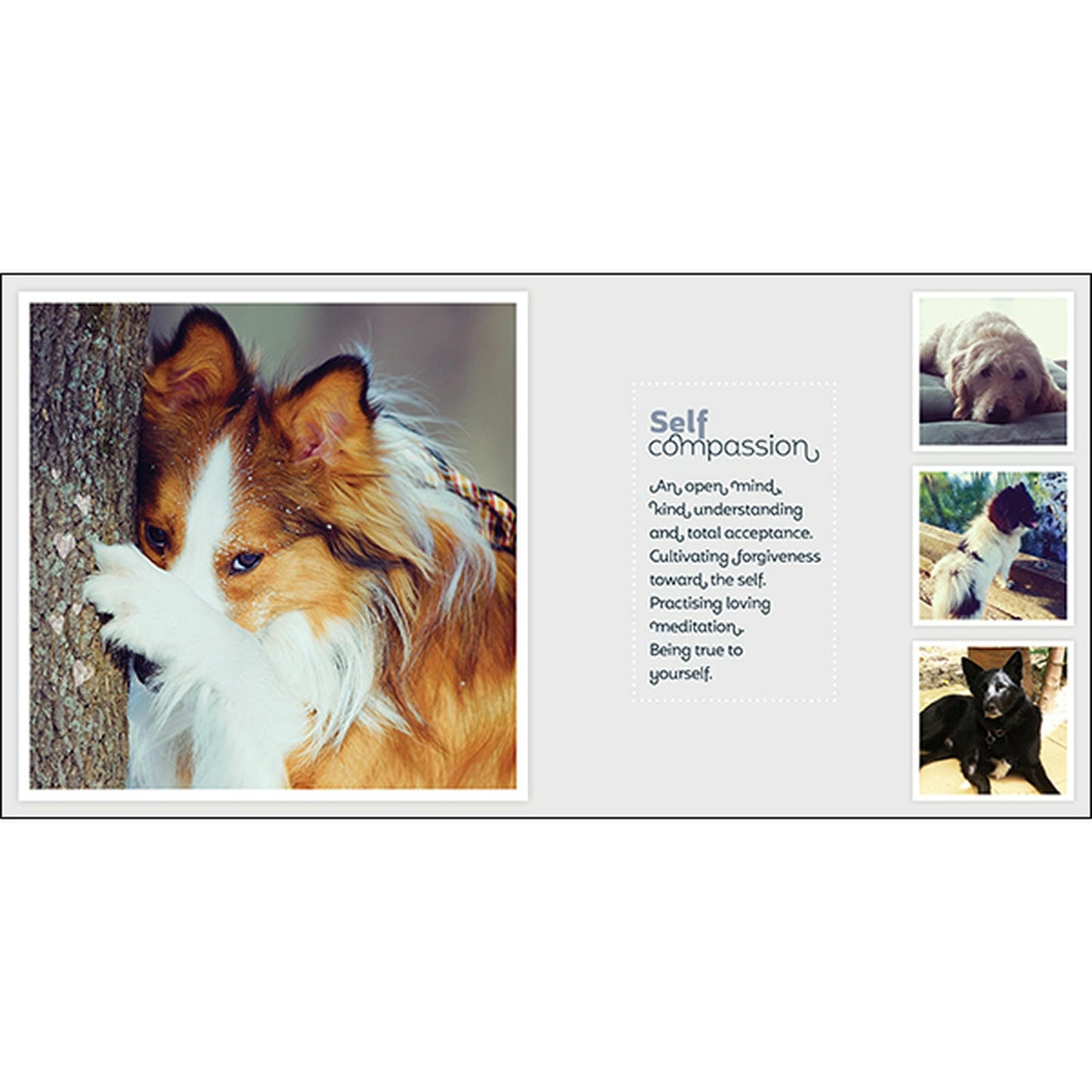 Barkology - Words From The Dogs - Inspirational Book