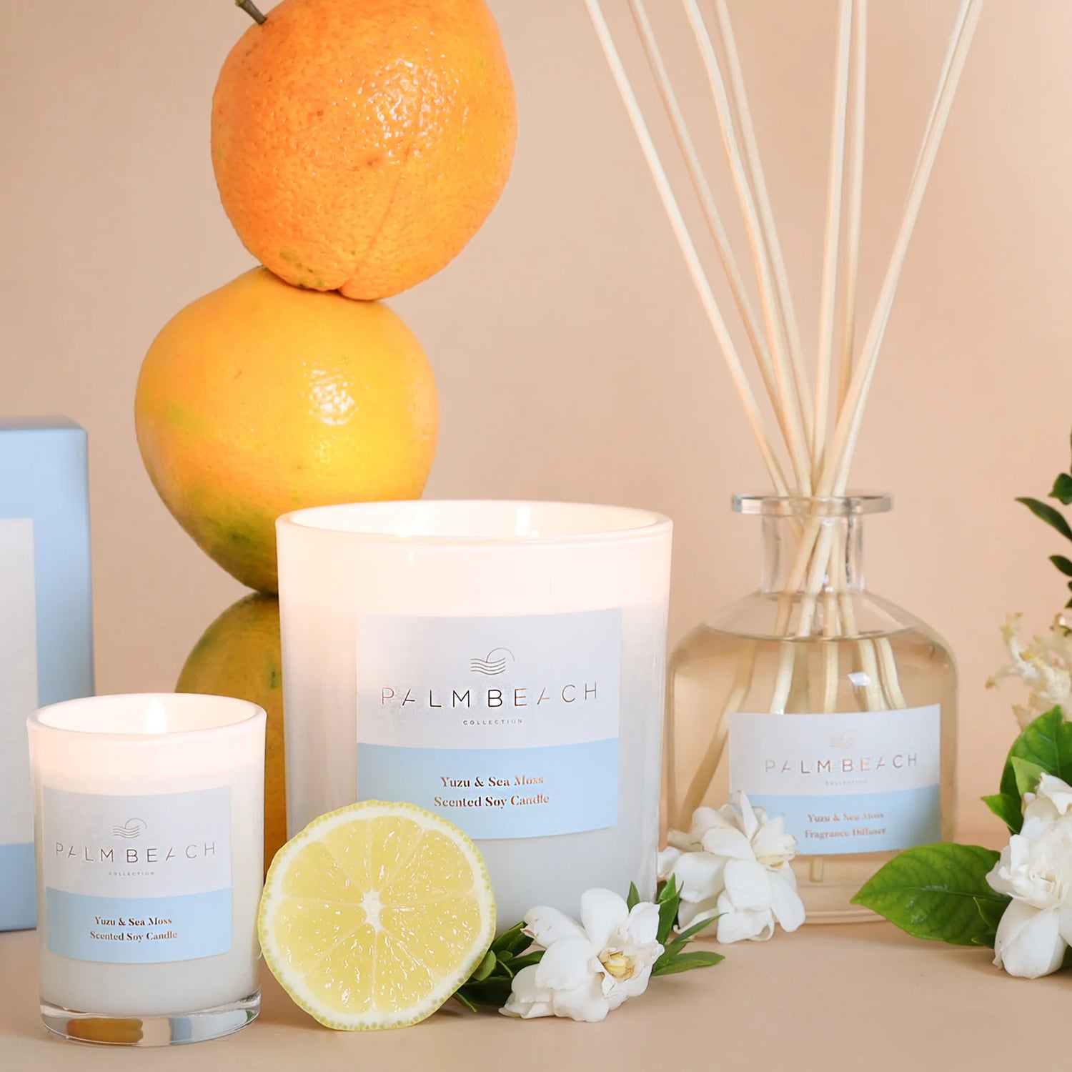 Palm Beach Coconut & Lime 420G Standard Candle