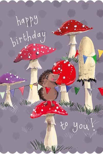 Toadstools Birthday Card