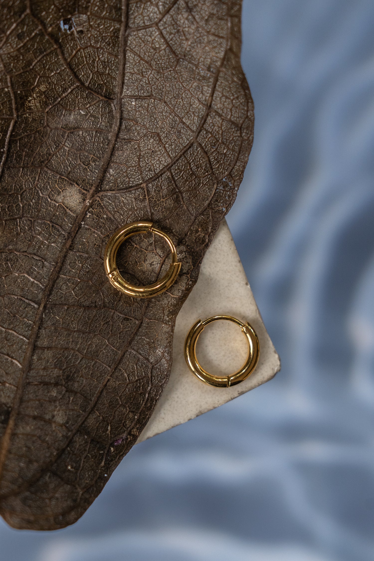Sabella Gold Hoop Earrings