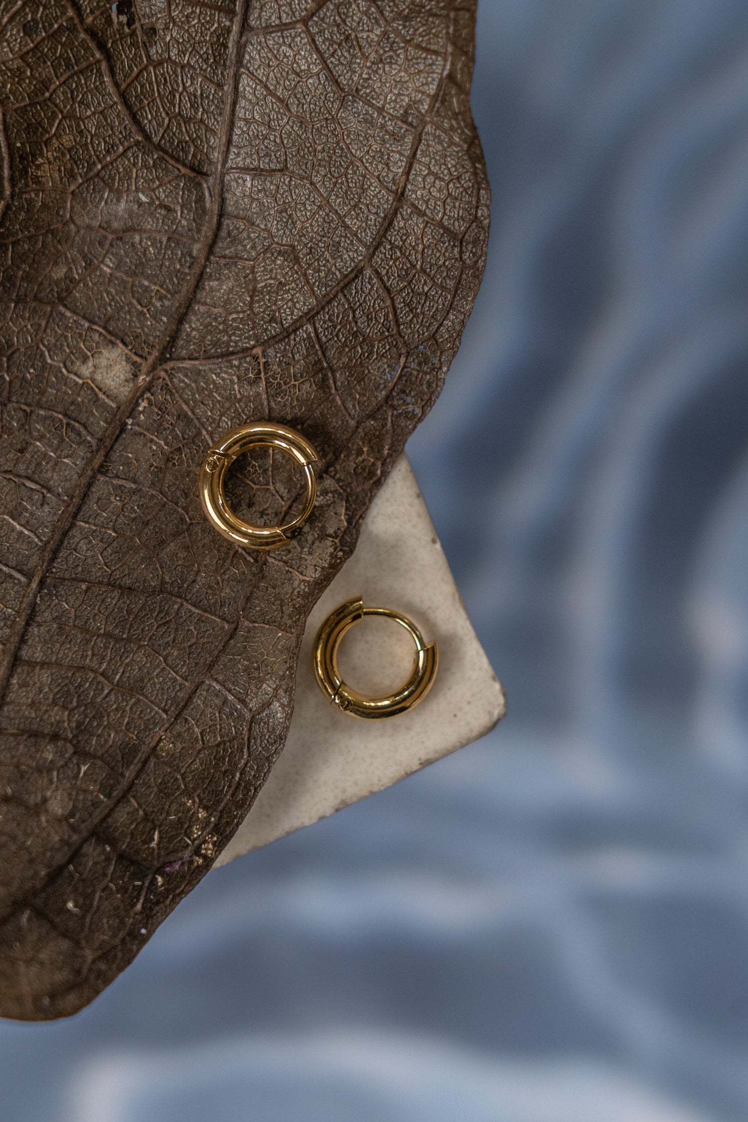 Sabella Gold Hoop Earrings