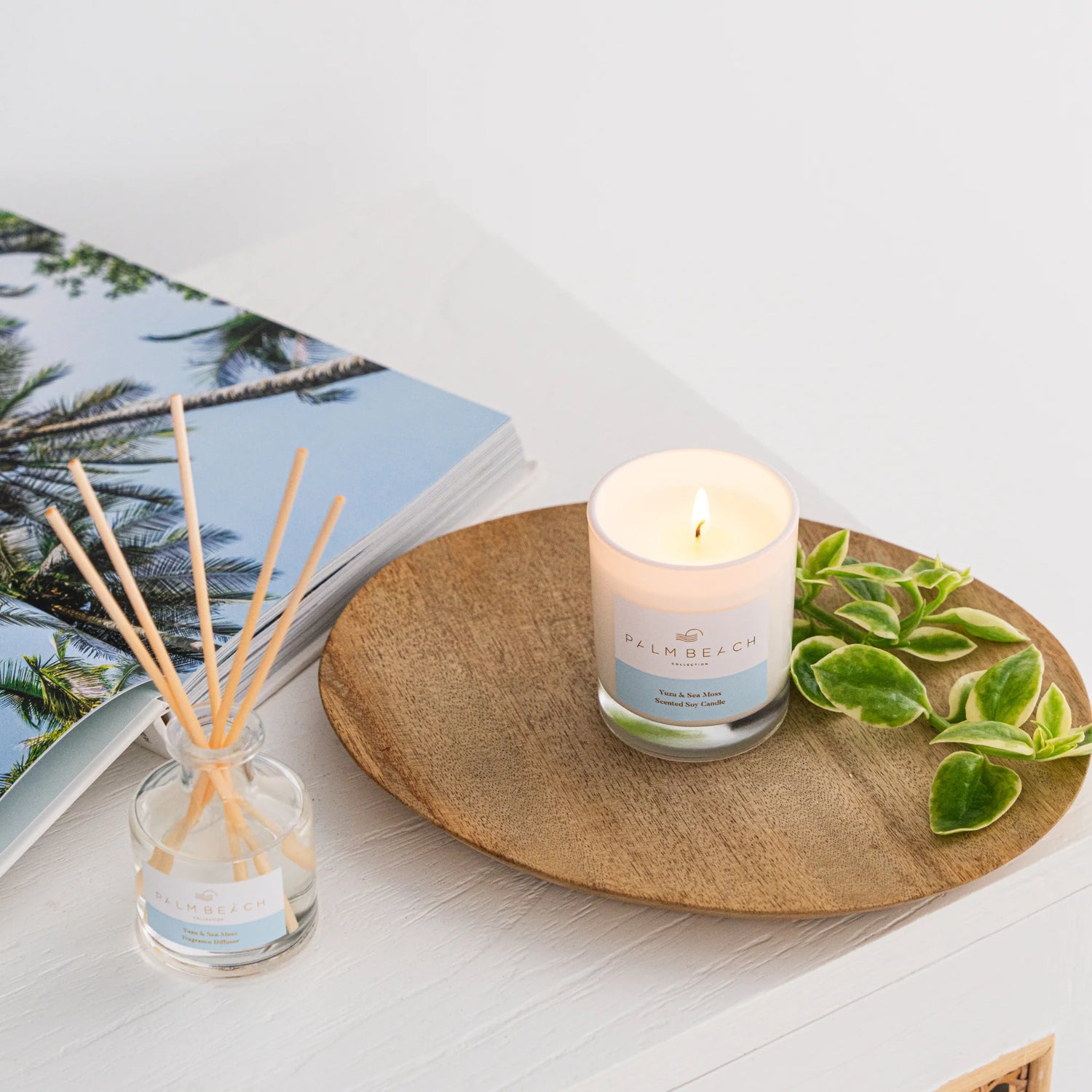 Palm Beach Mini Candle & Diffuser - Yuzu & Sea Moss