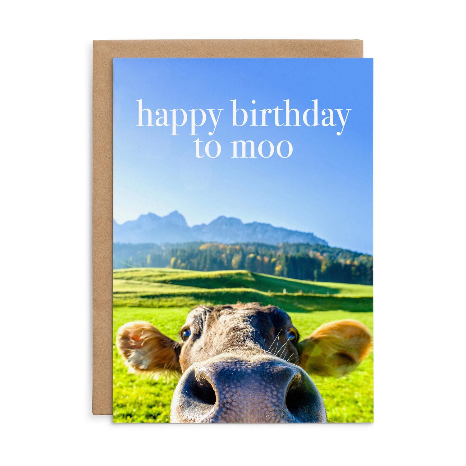M153 - Happy Birthday to moo - Cow Birthday Card