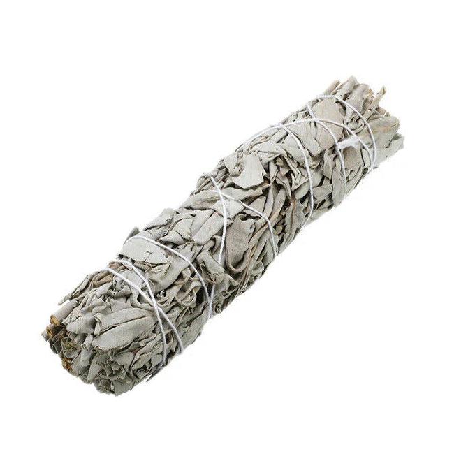 Bundled sage smudge stick on a white background