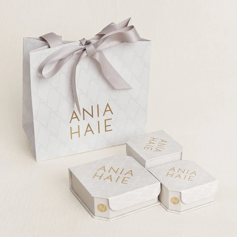 Ania Haie Double Chain Bead Station Necklace Silver