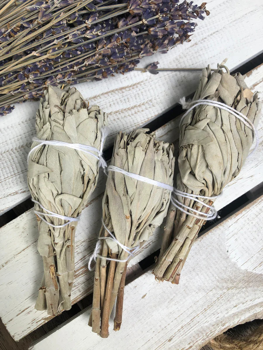 White Sage Smudge Stick Small 8cm Sage Pure