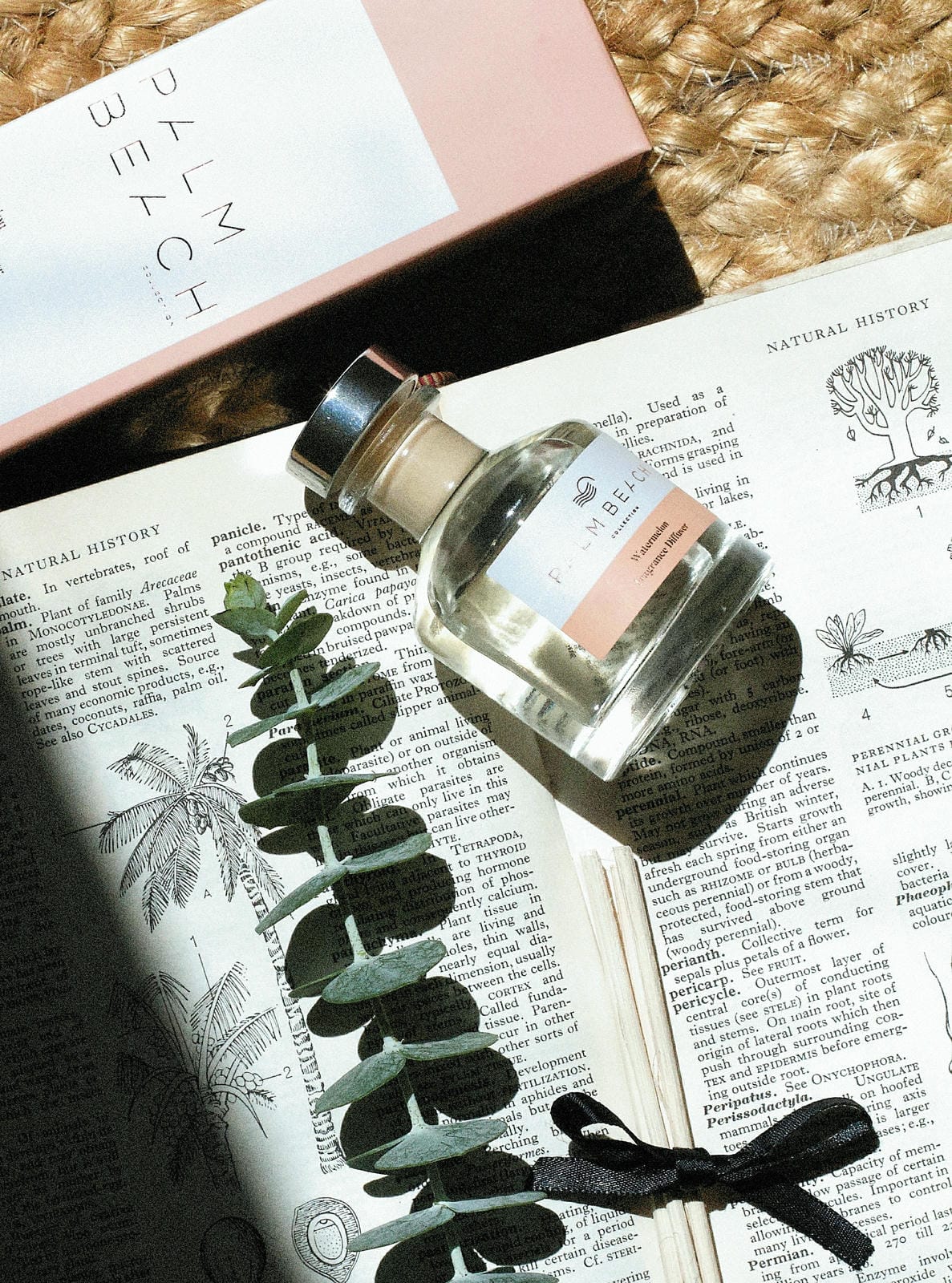 Palm Beach Watermelon 50ml Mini Diffuser