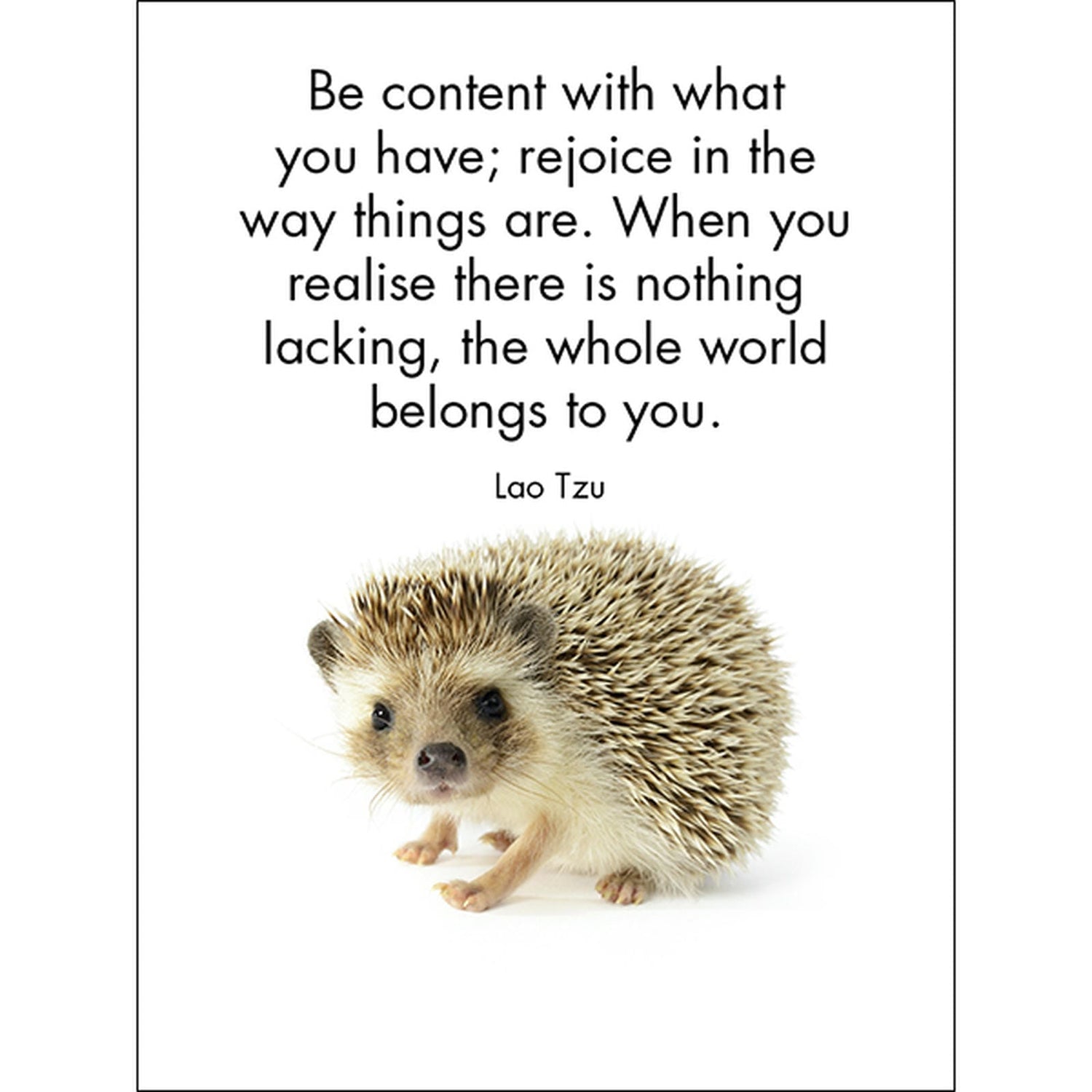 Little Treasures - 24 Animal Affirmation Cards DLT