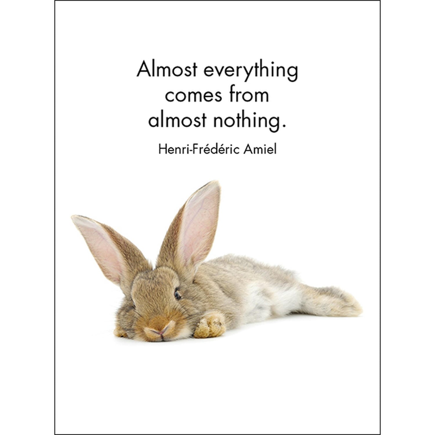 Little Treasures - 24 Animal Affirmation Cards DLT