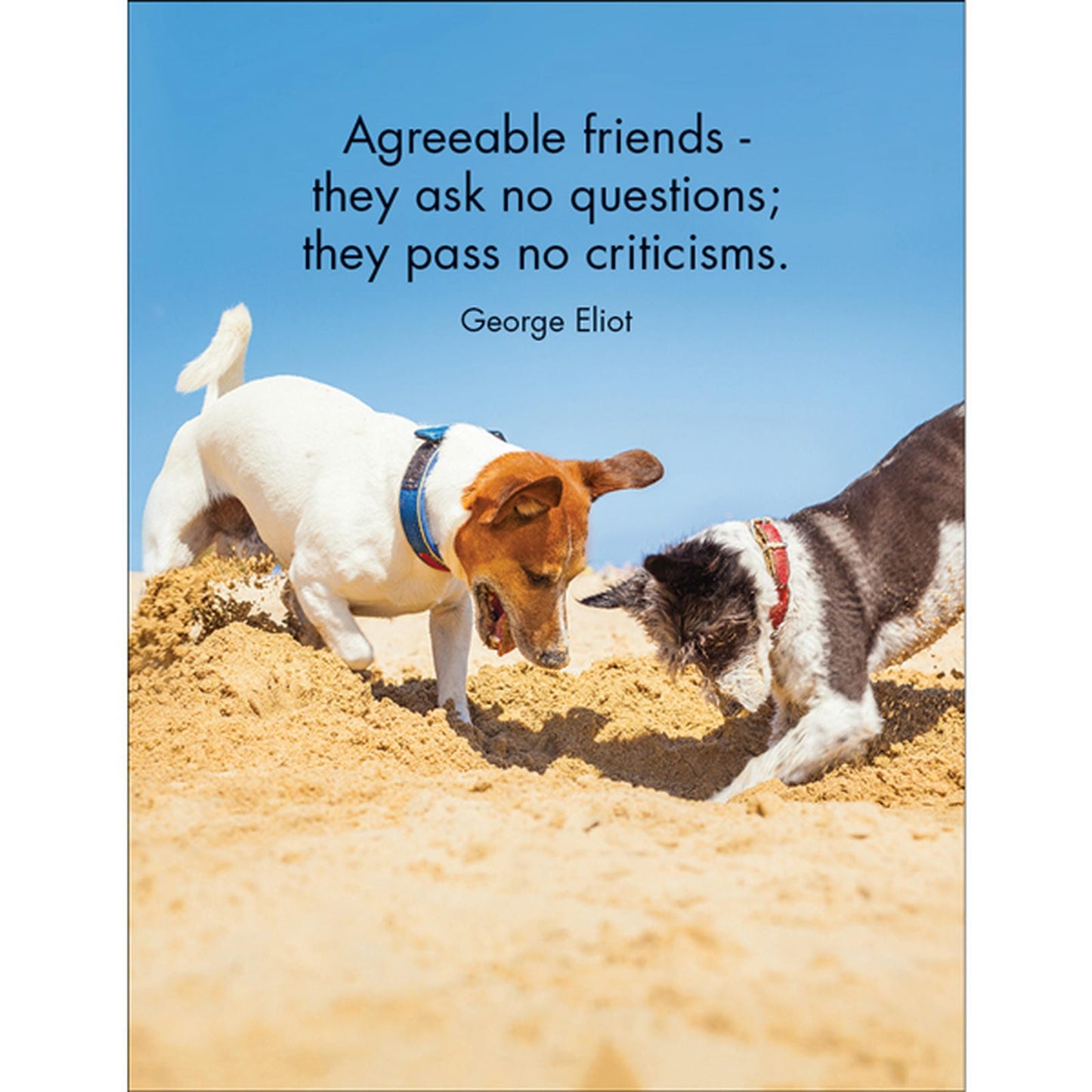 DOG - Every Dog Has It's Day - 24 Animal affirmation cards + stand