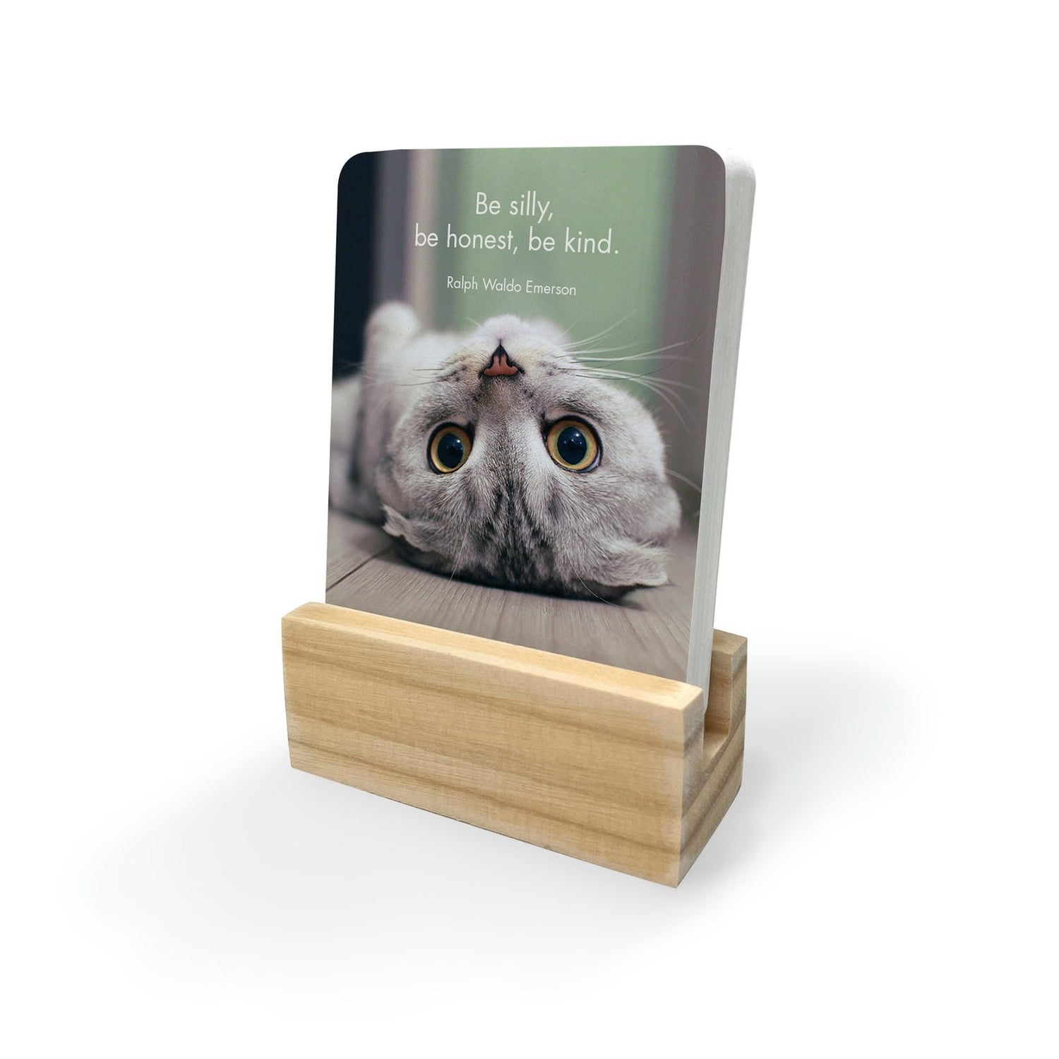 Wise Cats - 24 Animal Affirmation Cards