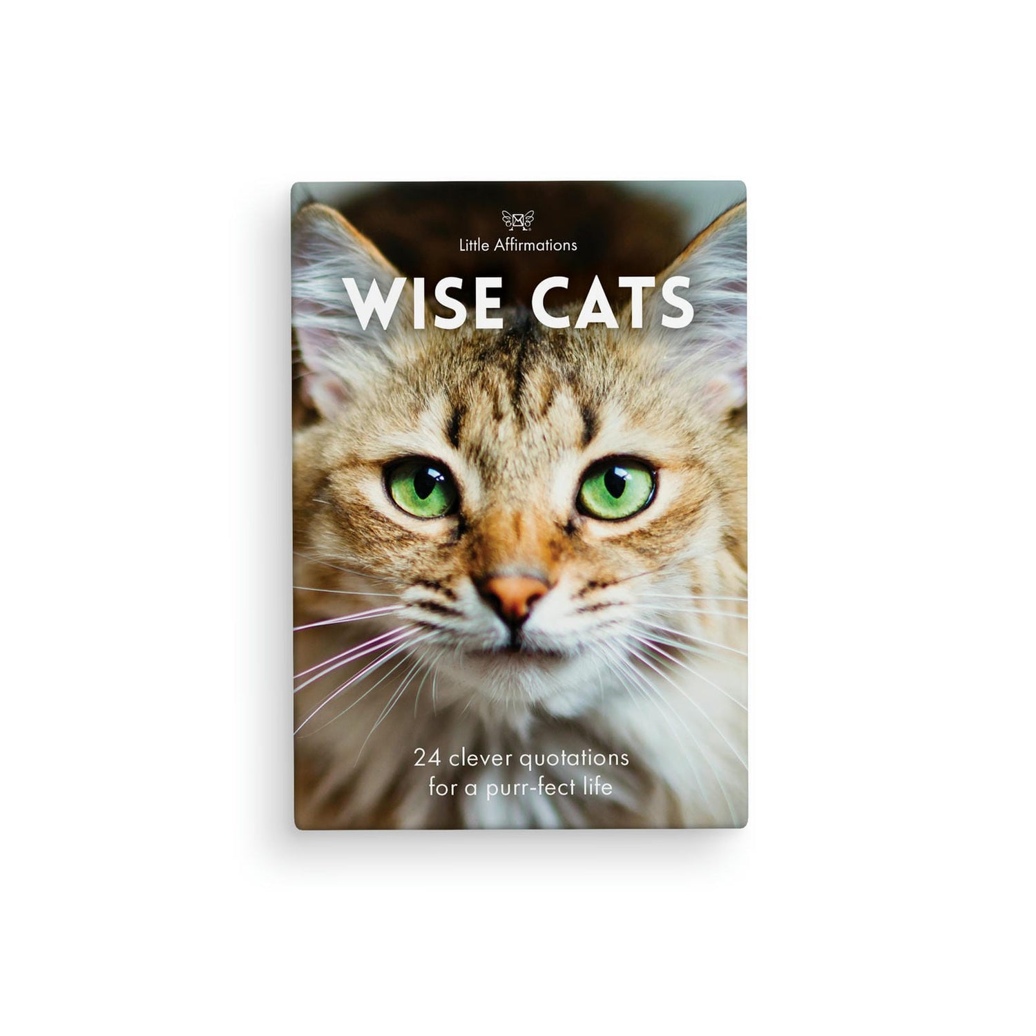 Wise Cats - 24 Animal Affirmation Cards