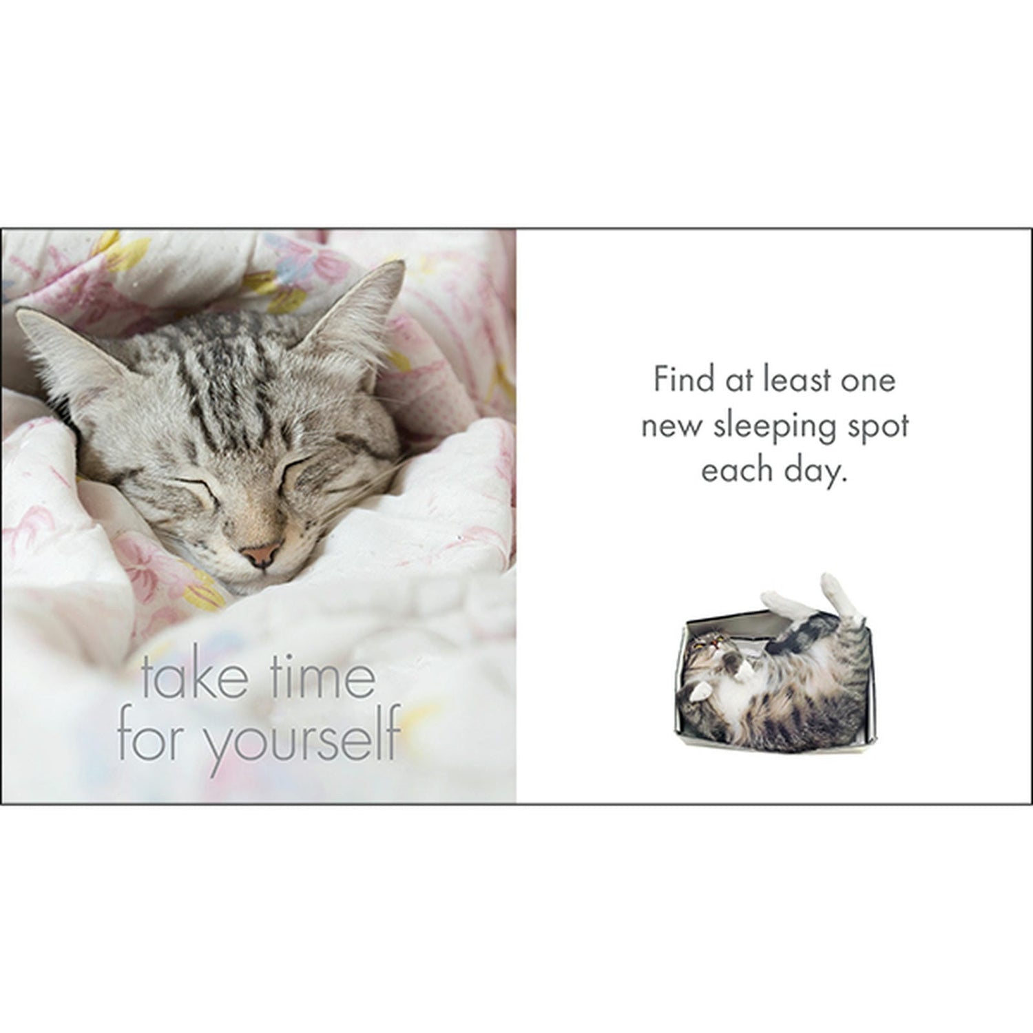 Little Book of Purrfection
