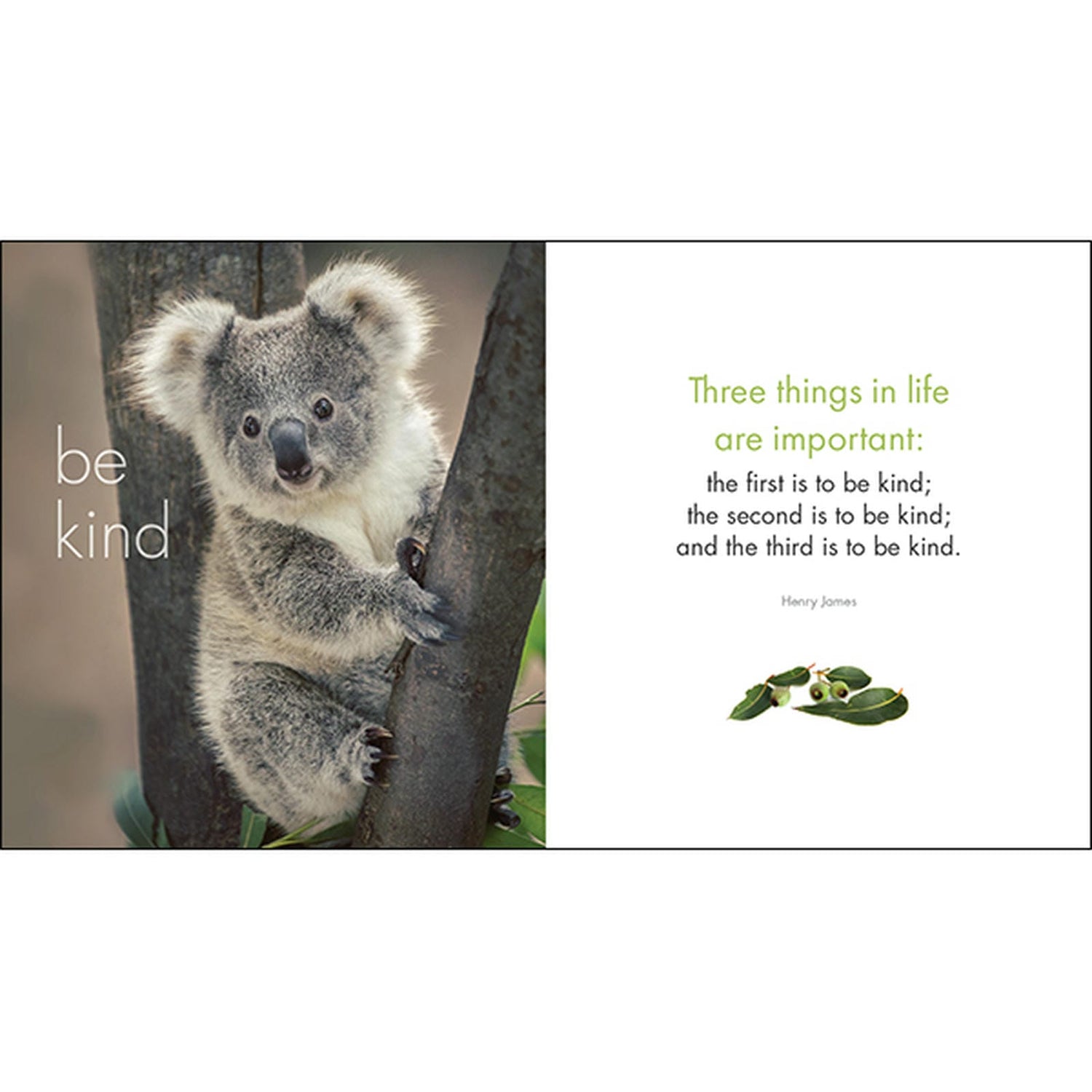 Little Book of Koala Karma