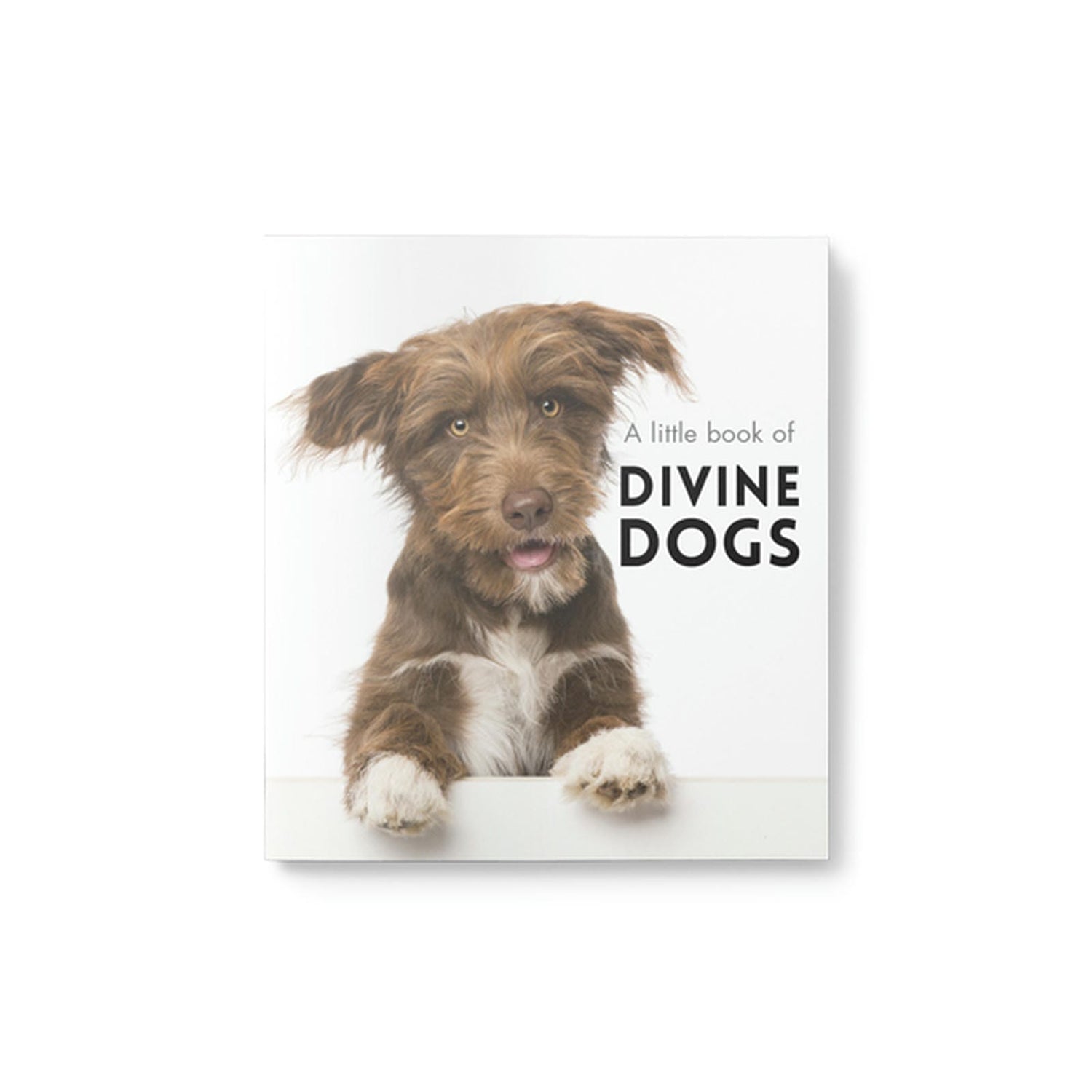 Little Book of Divine Dogs