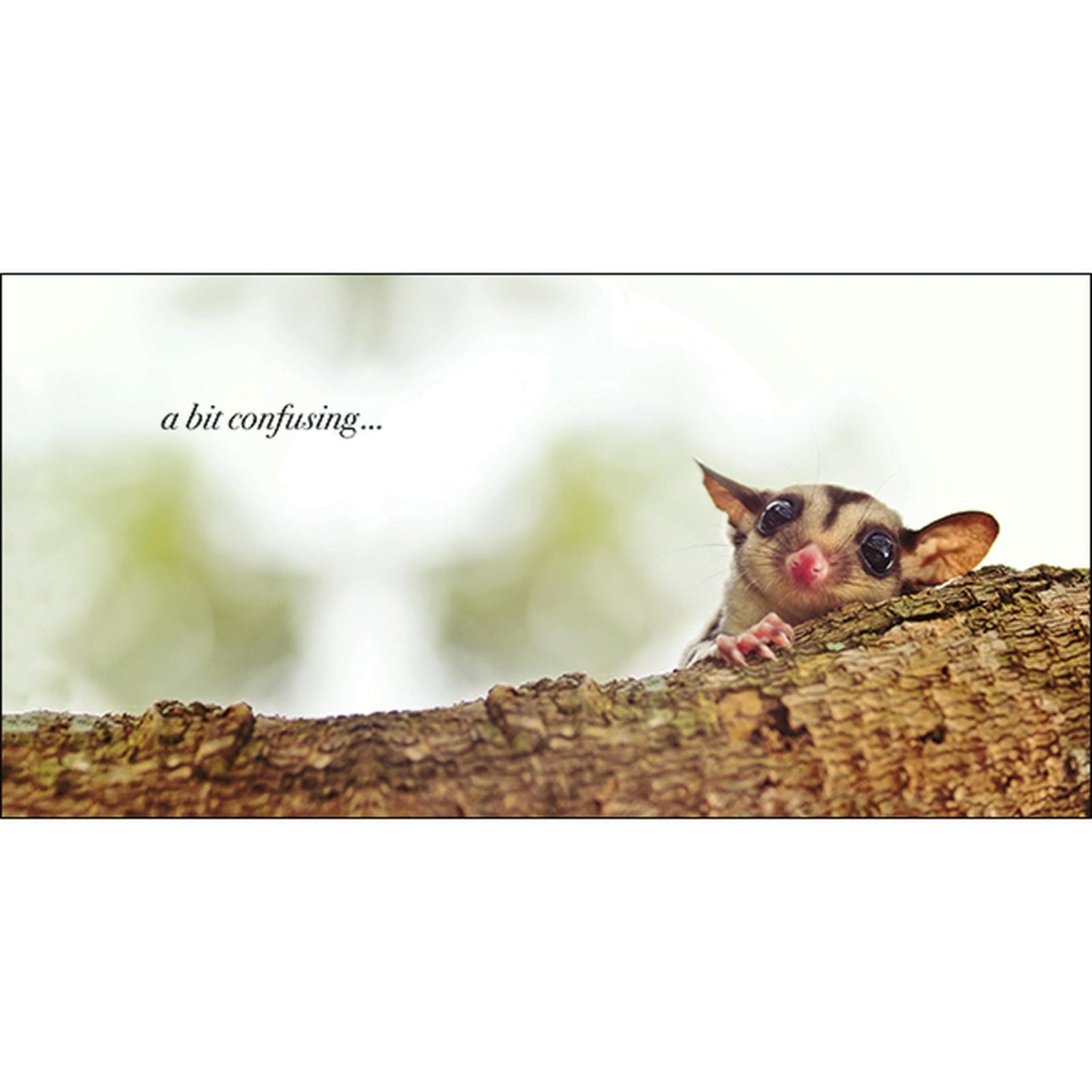 It's OK to Be You - Inspirational Book