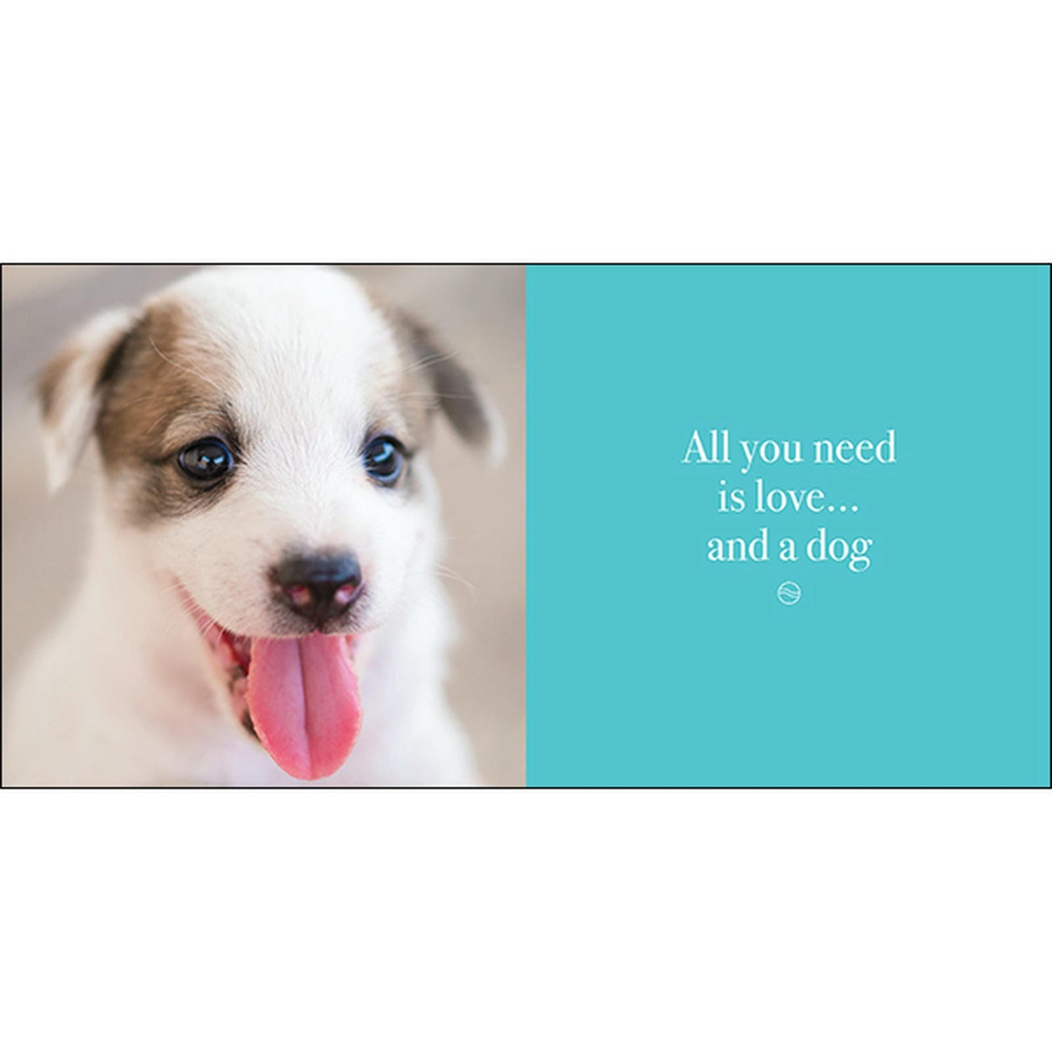 Pupparazzi - Inspirational Book