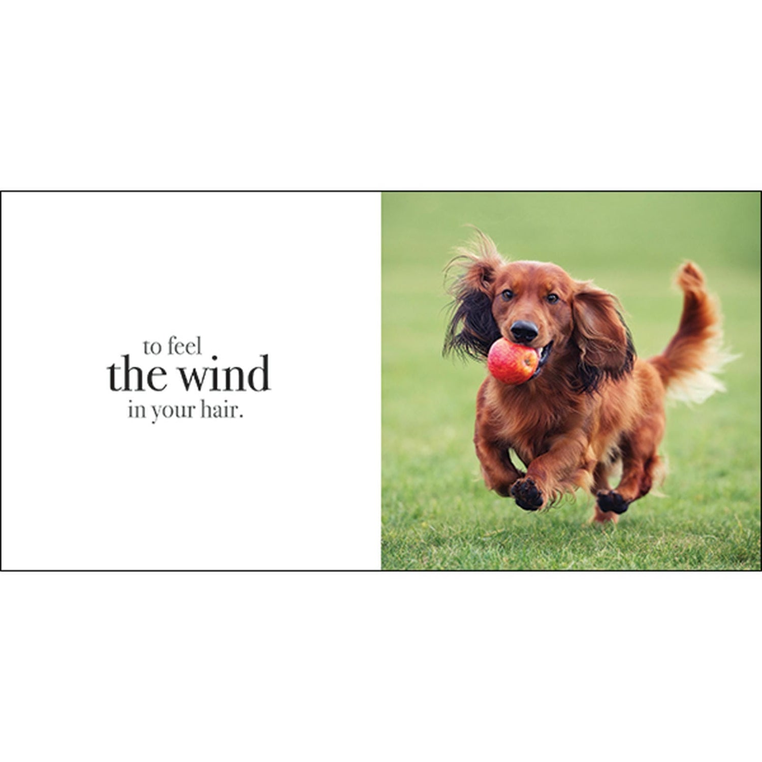Find Your Inner Calm - Inspirational Book