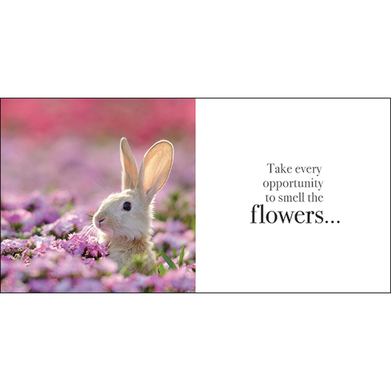 Find Your Inner Calm - Inspirational Book