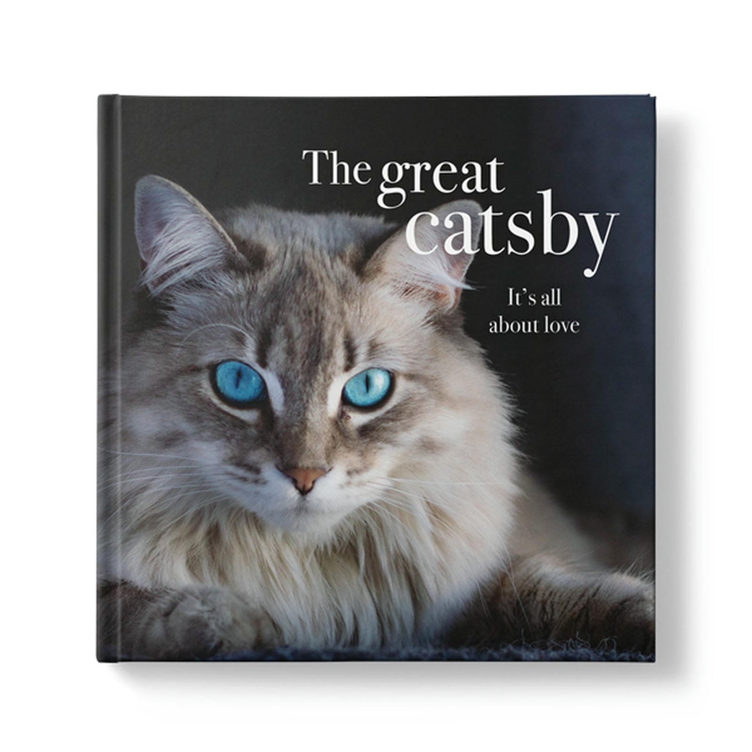 The Great Catsby - Inspirational Book
