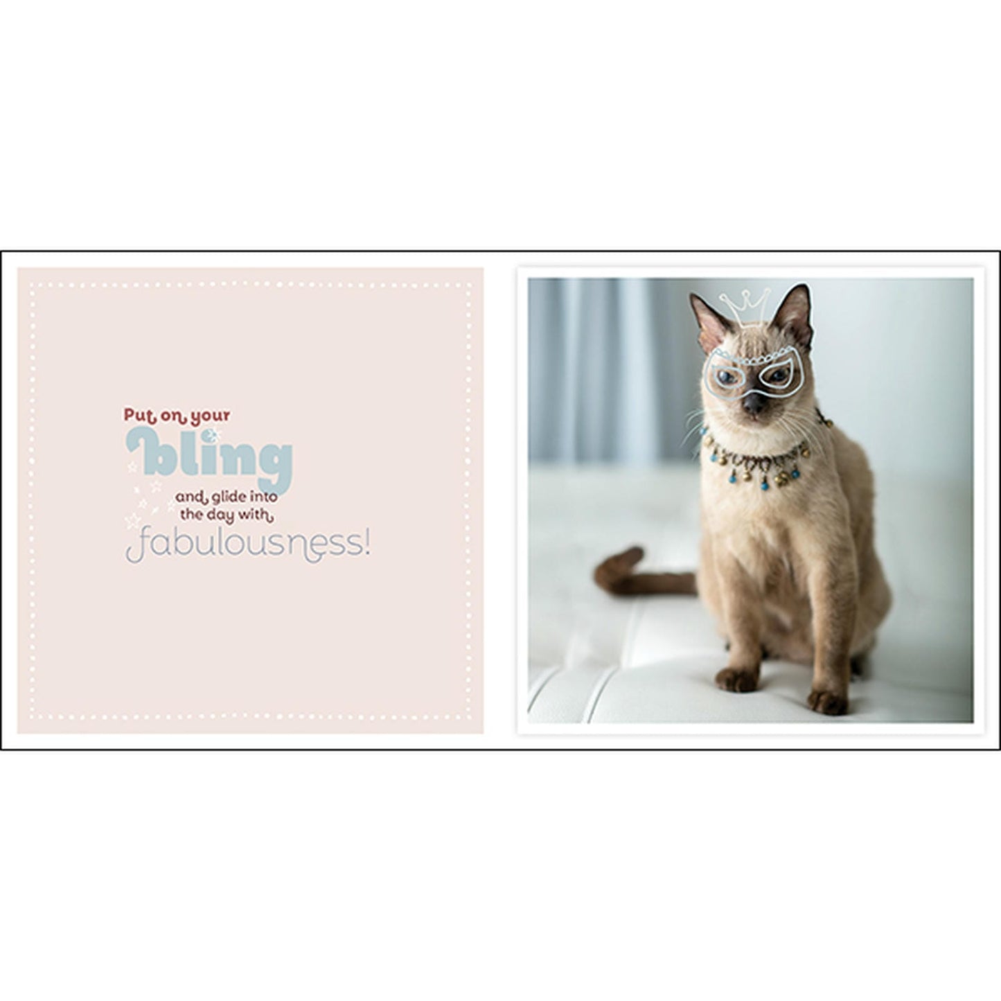 Catitude - Inspirational Book