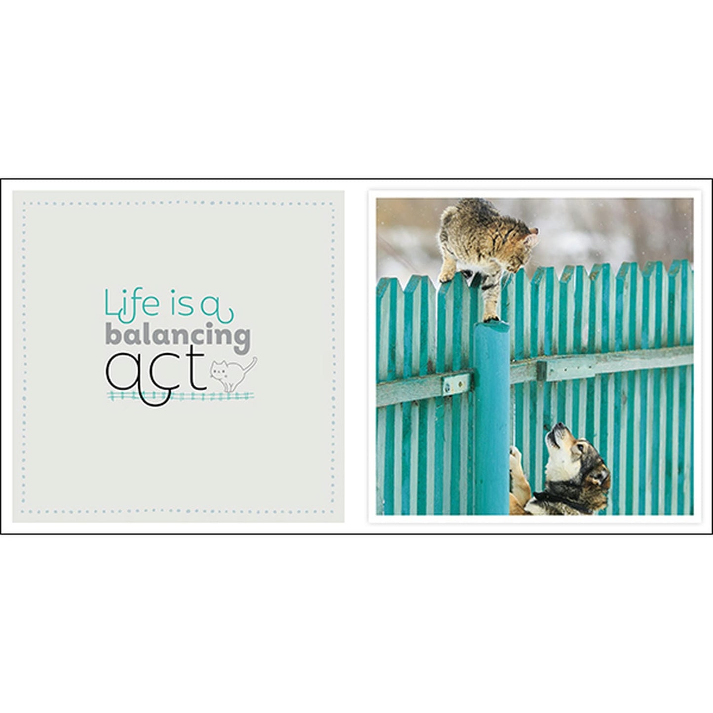 Catitude - Inspirational Book