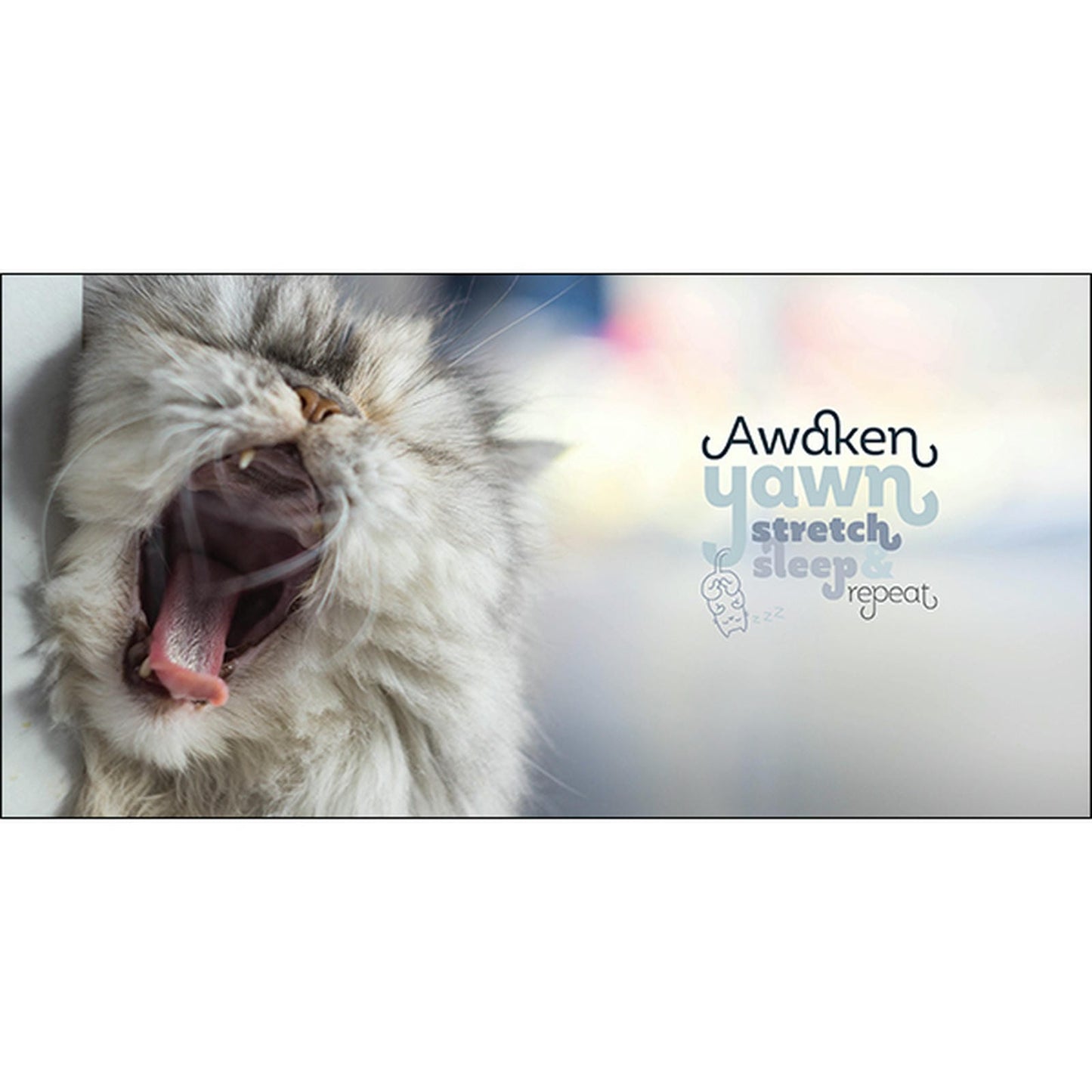 Catitude - Inspirational Book