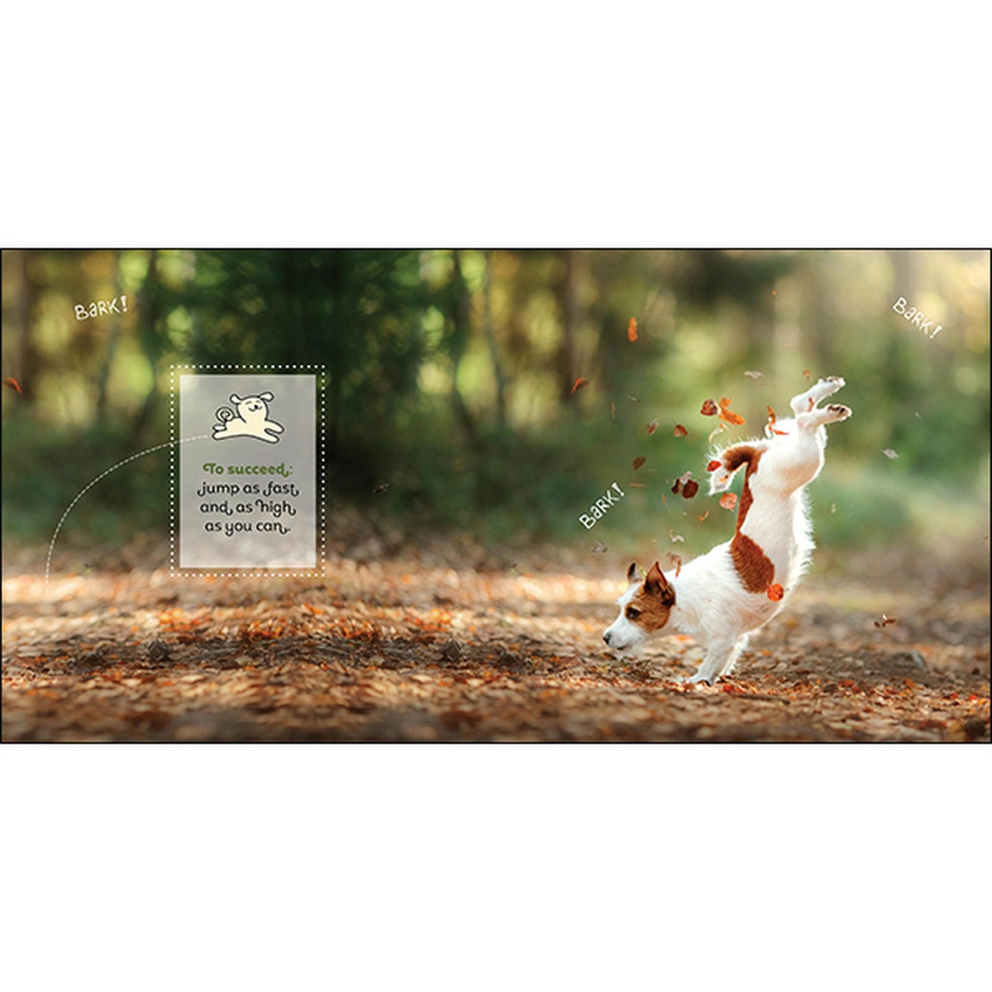Barkology - Words From The Dogs - Inspirational Book