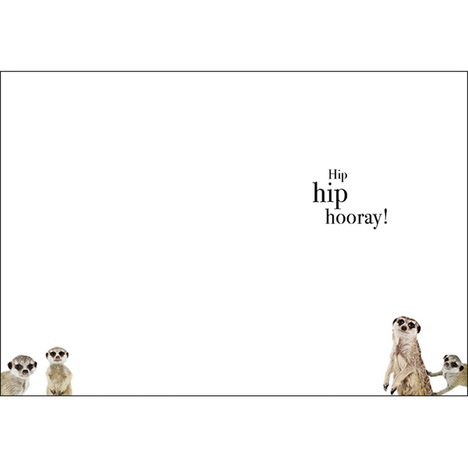 M035 - Happy Birthday - Animal Greeting Card