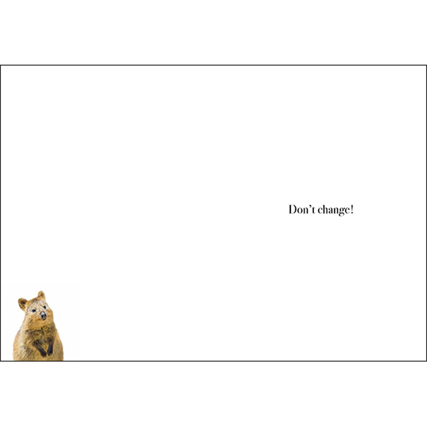 M084 - Happy Birthday. You Are A Limited Edition! - Animal Greeting Card