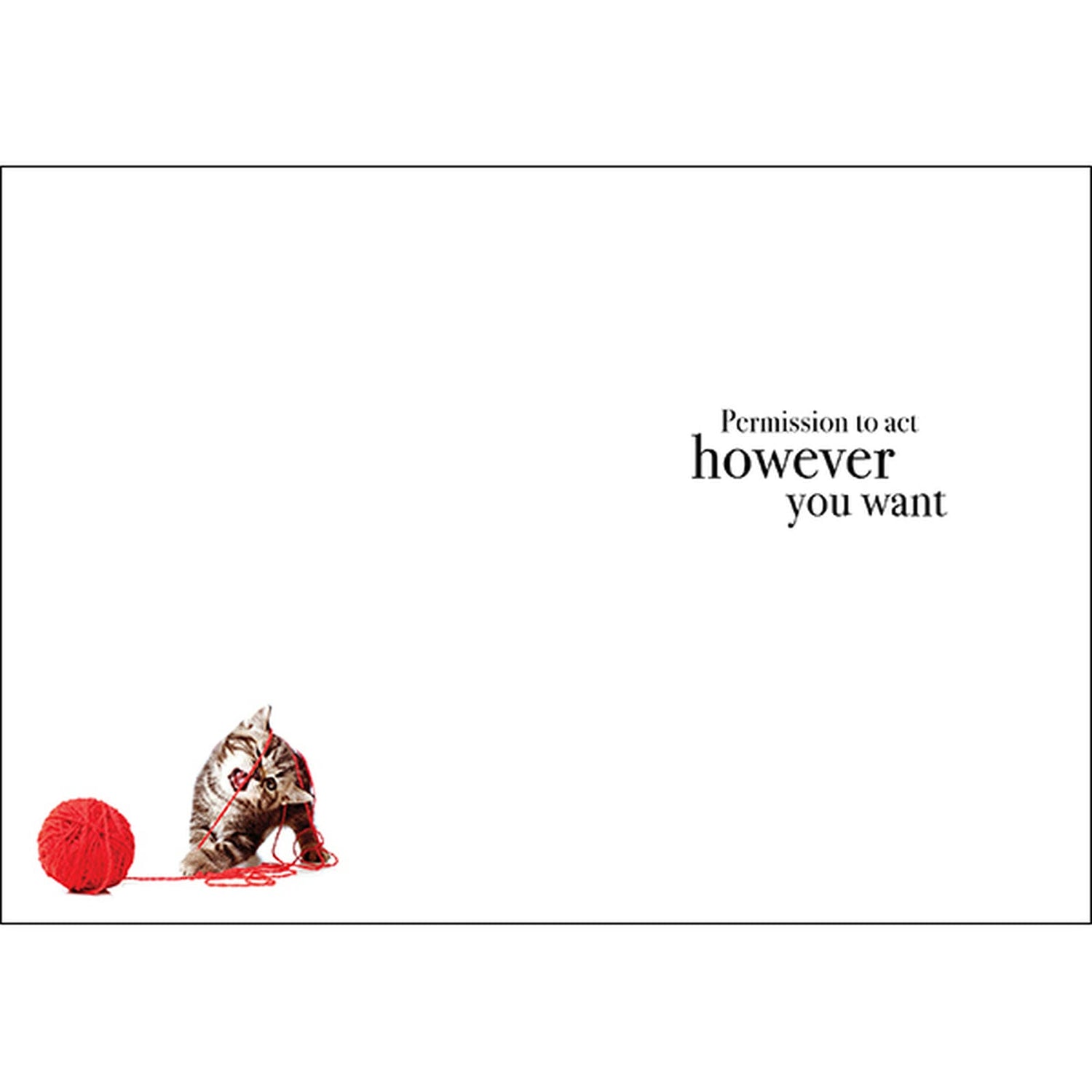 M008 - Happy Birthday - Animal Greeting Card
