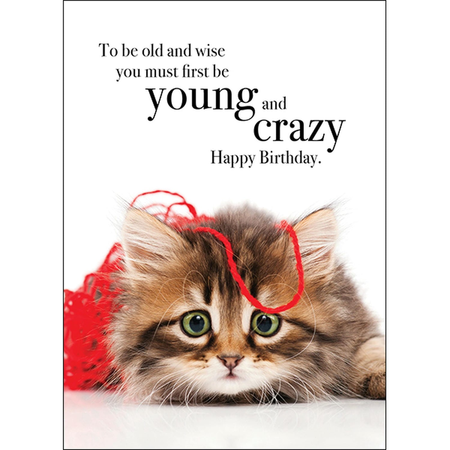 M008 - Happy Birthday - Animal Greeting Card