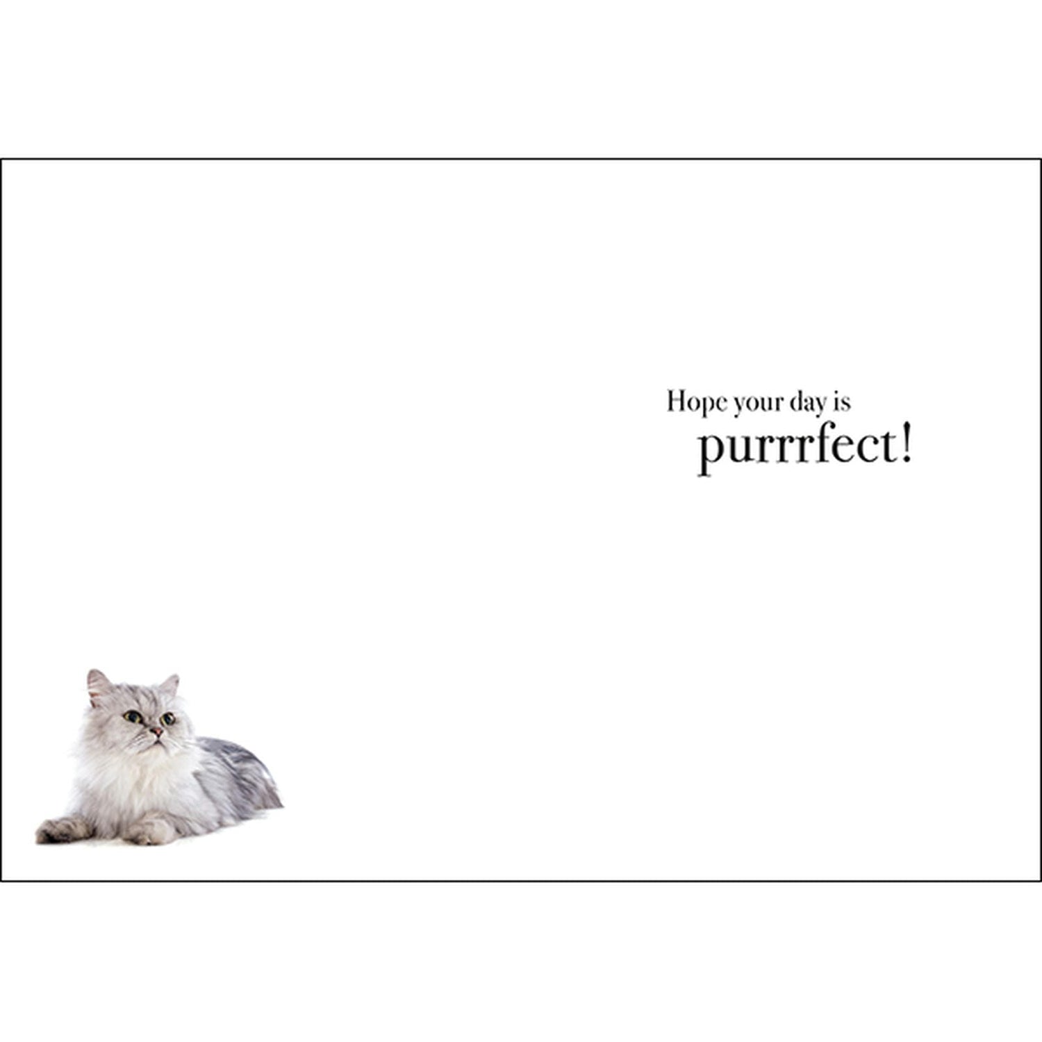 M075 - Happy Birthday - Animal Greeting Card