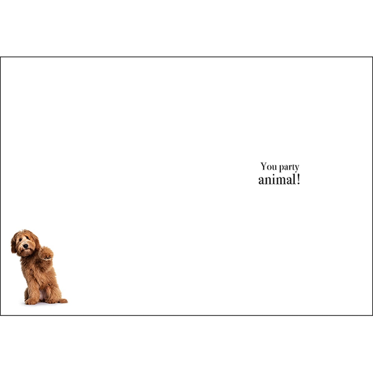 M109 - Happy Birthday You Party Animal! - Animal Greeting Card