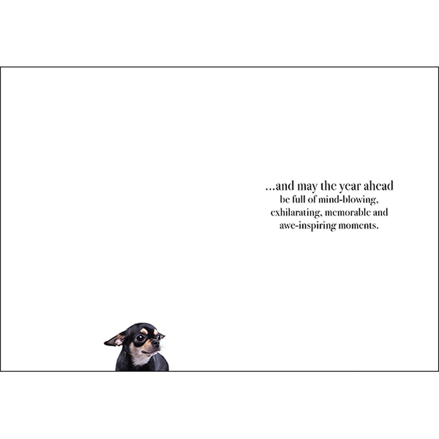 M110 - Happy Birthday - Animal Greeting Card