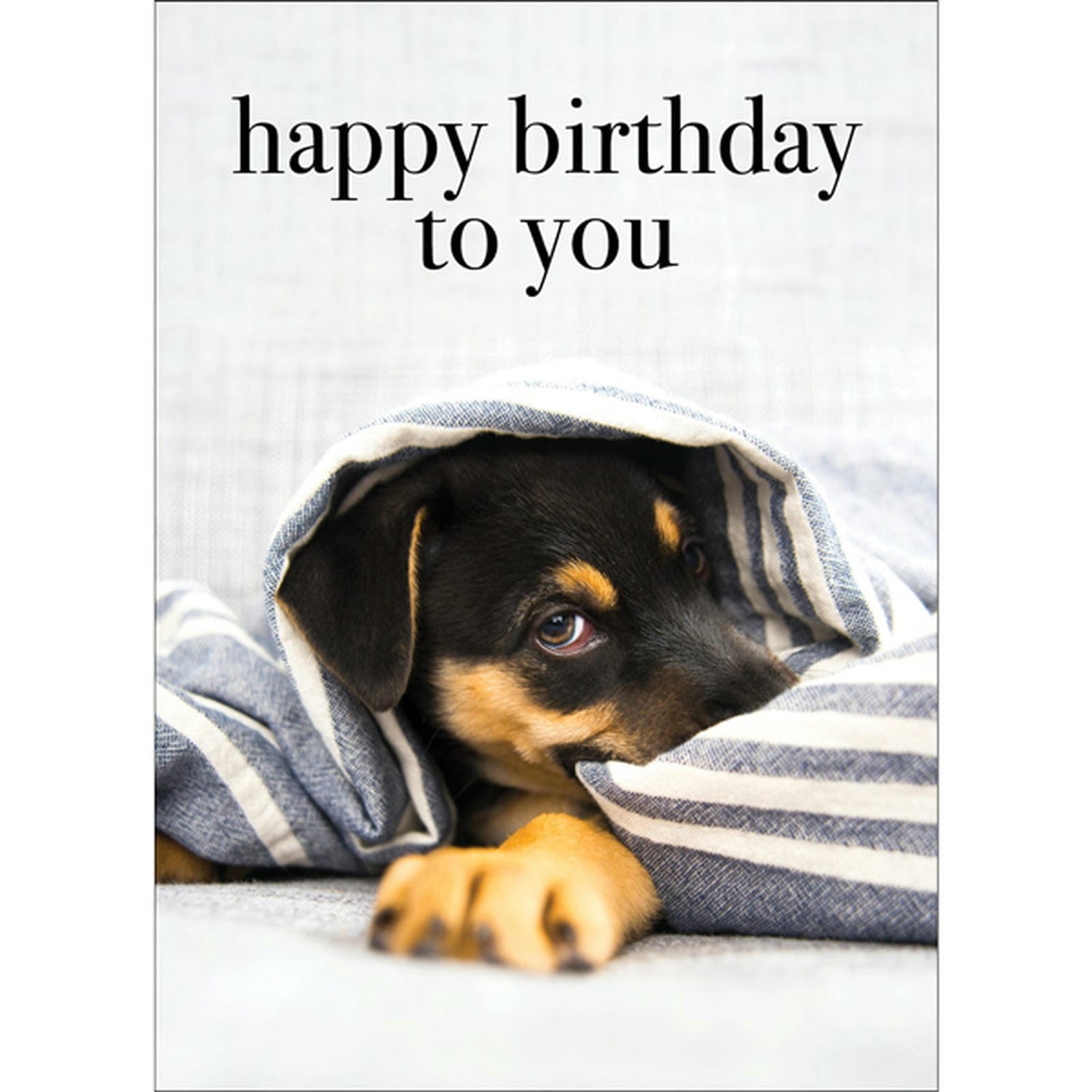 M142 - Happy Birthday To You - Dog Greeting Card