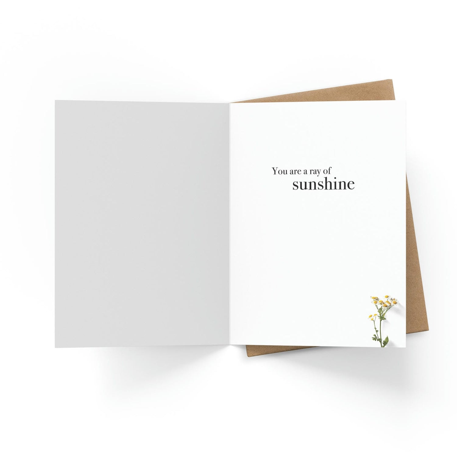 M148 - Happy BIrthday - Kitten Birthday Card