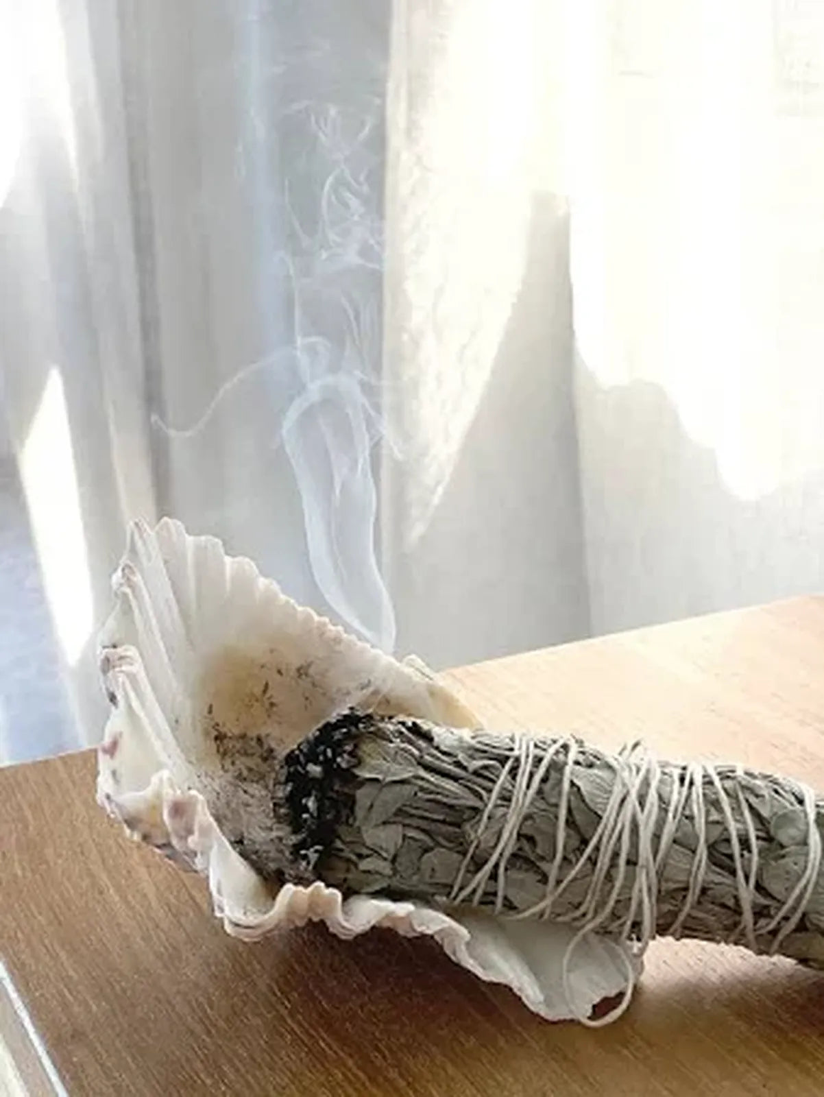 Sage Pure 3 pack