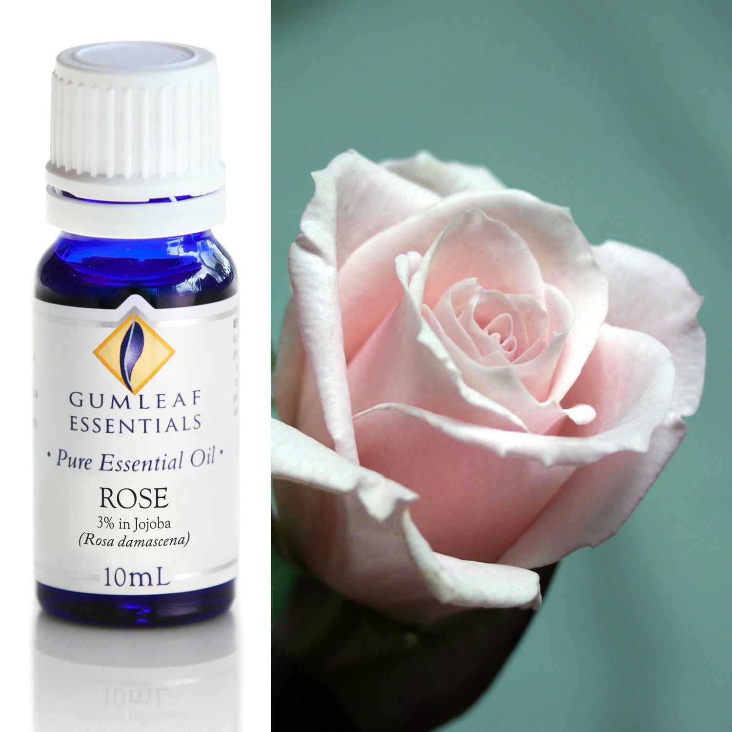 Rose (3% in Jojoba) Essential Oil