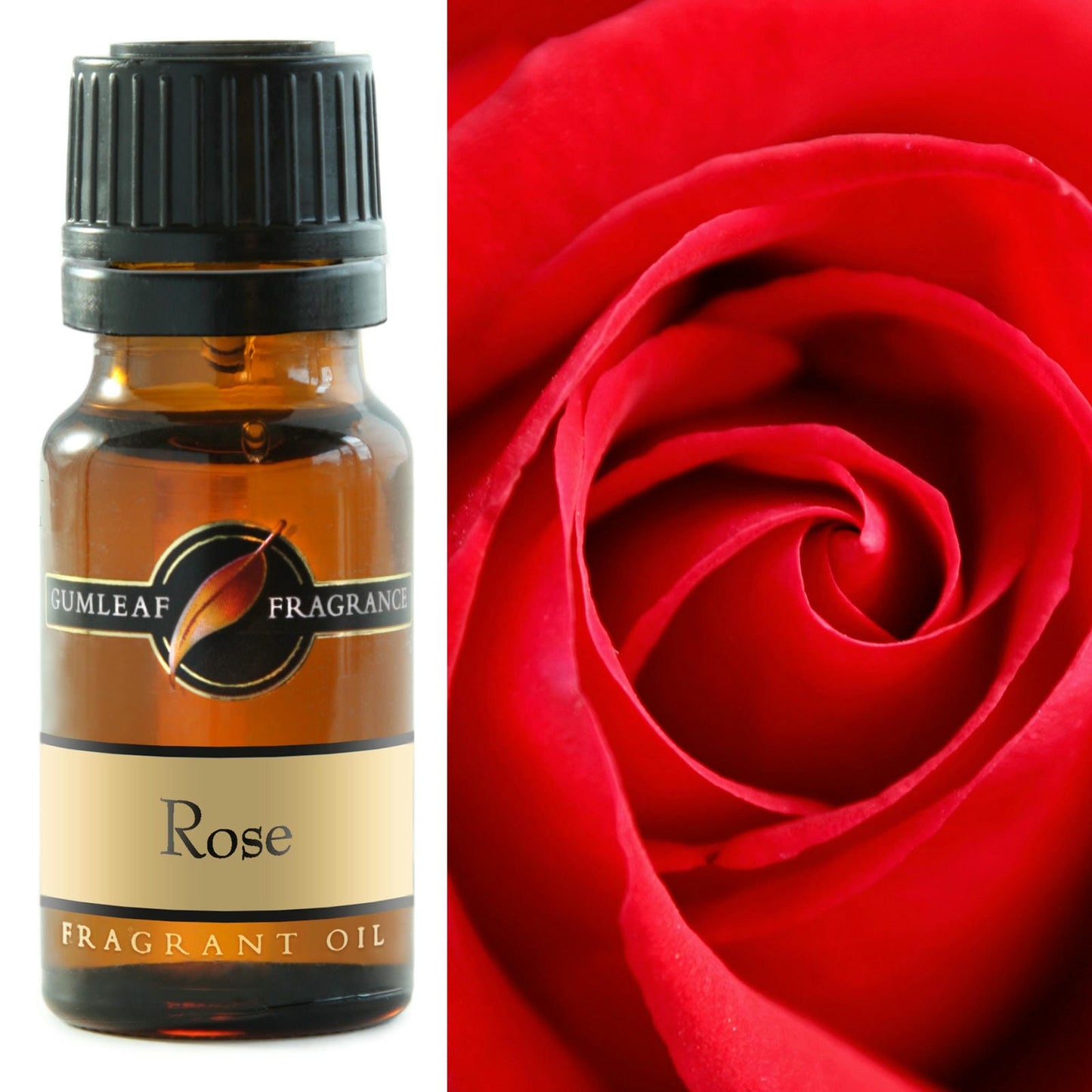 Rose Fragrance Oil