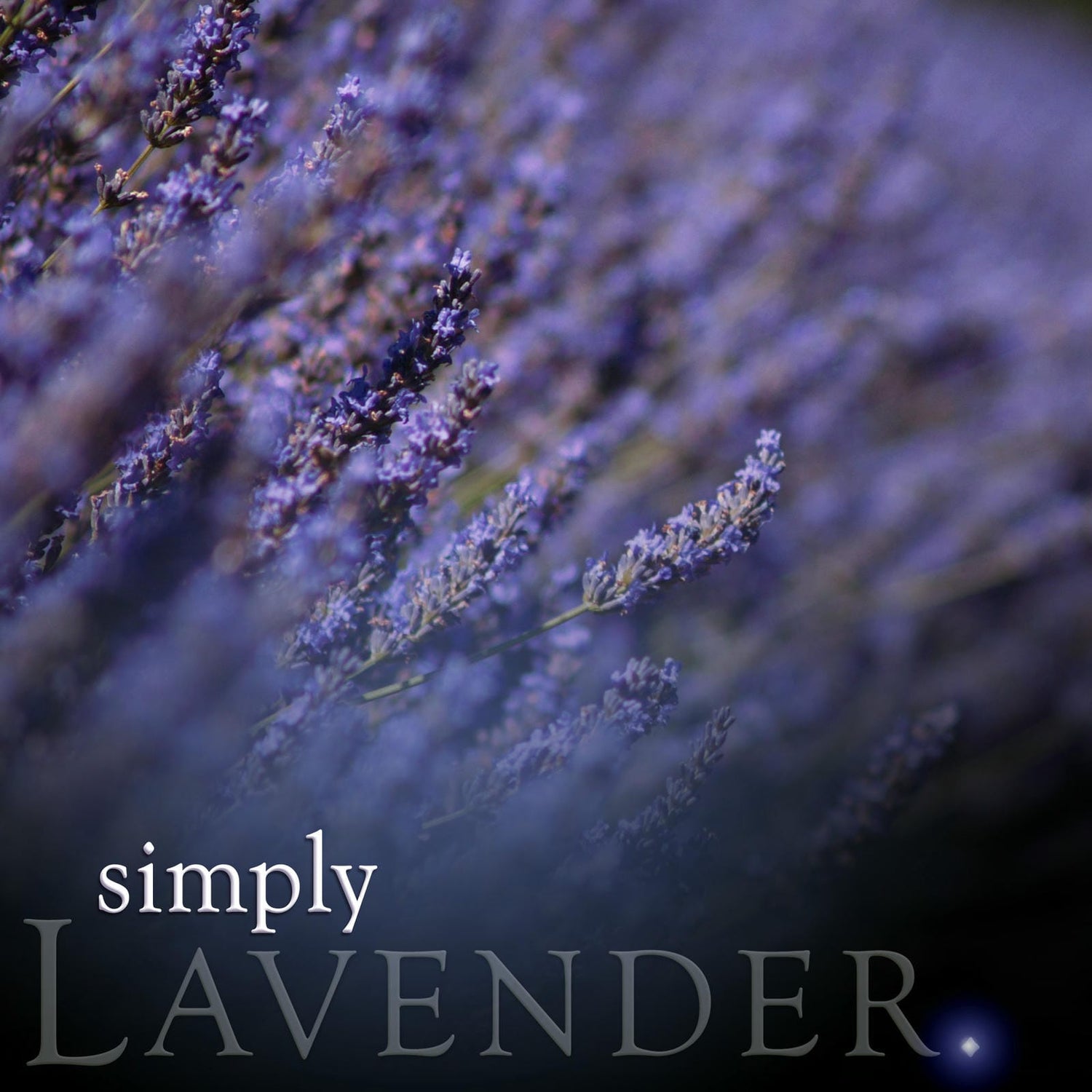 Lavender Room Spray
